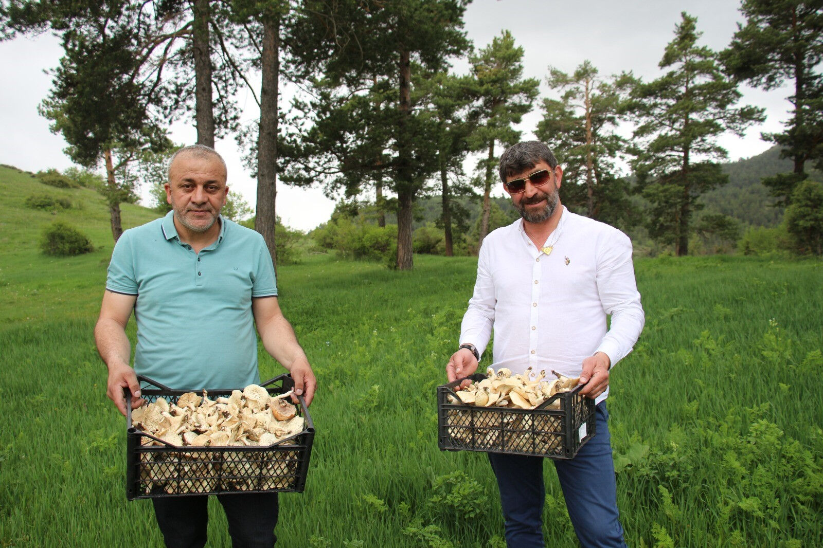 Doğadan bunları toplayanlar dikkat! Başınıza gelmeyen kalmayabilir... - 5. Resim