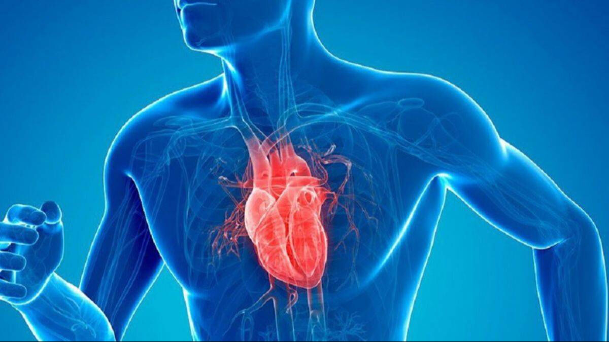 Günde bir kaşık yetiyor: Damarları temizliyor, yaşlanmayı geciktiriyor, kalbi koruyor! - 1. Resim