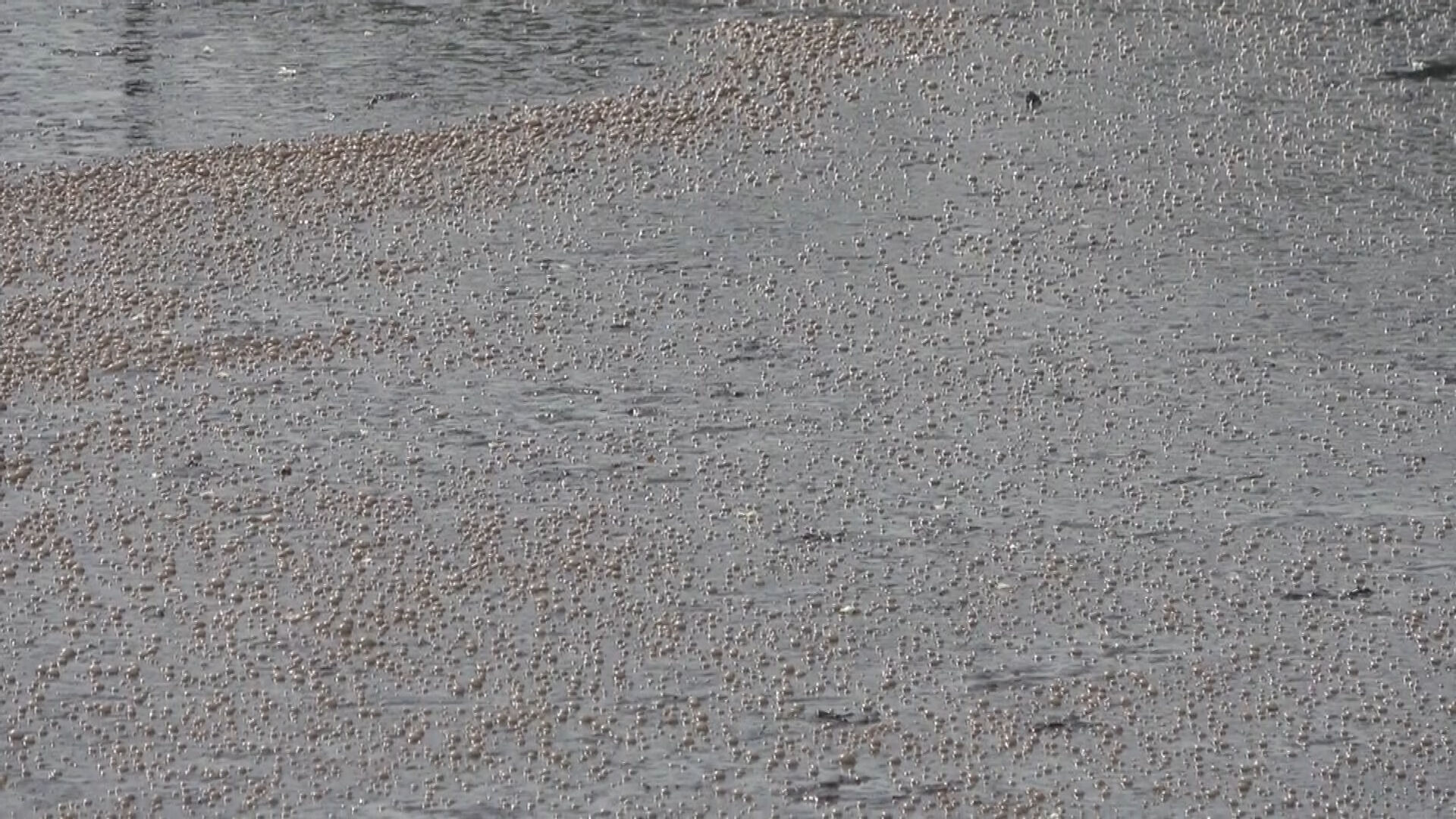 Kanalizasyon suyu 2 gün boyunca denize aktı! 4 milyon lira ceza kesildi - 2. Resim