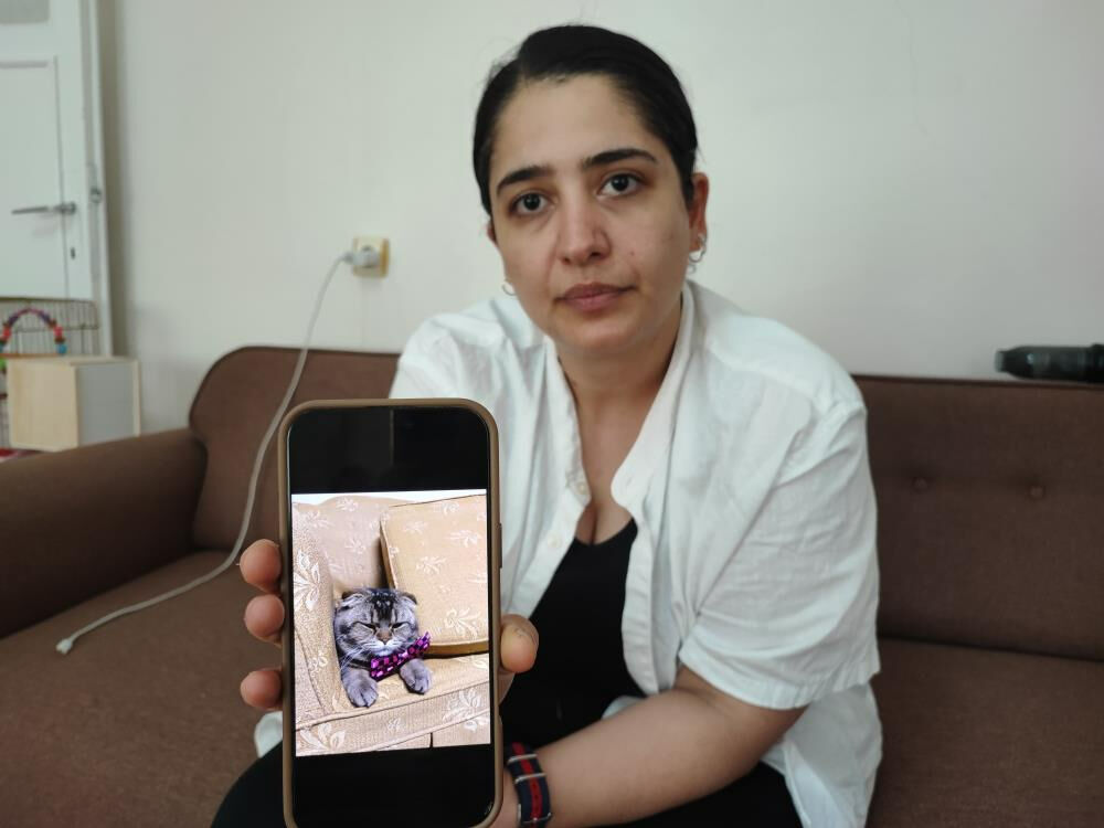 Kedisi kaybolan Zeynep Eğri'nin gözyaşları: Kocam beni boşayacak - 3. Resim