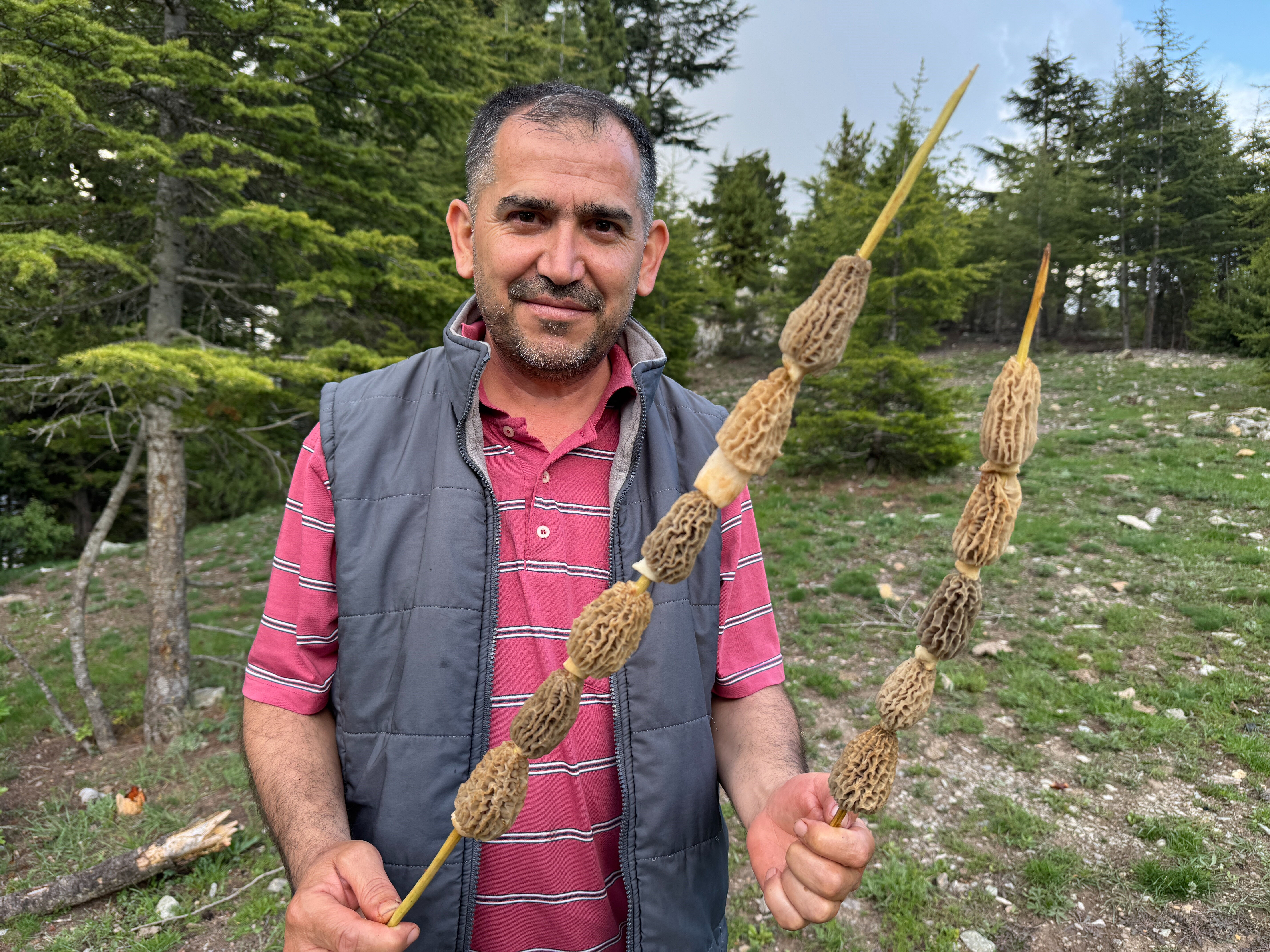 Kendiliğinden yetişiyor, kilosu 900 liraya satılıyor! Toplayanlar 