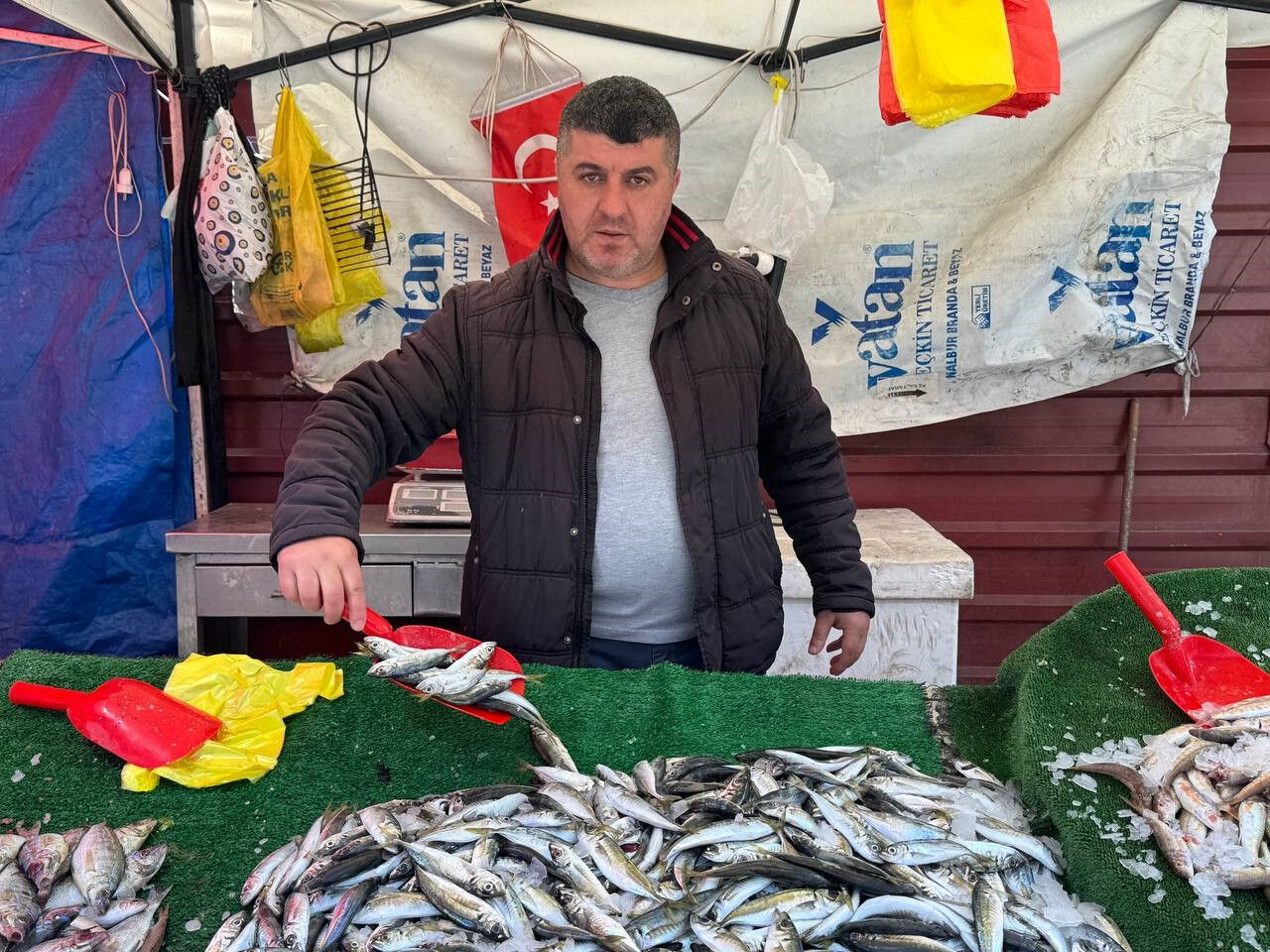 Palamut, mezgit, istavrit ve hamsi... Vatandaş ucuz balığa doyacak - 1. Resim