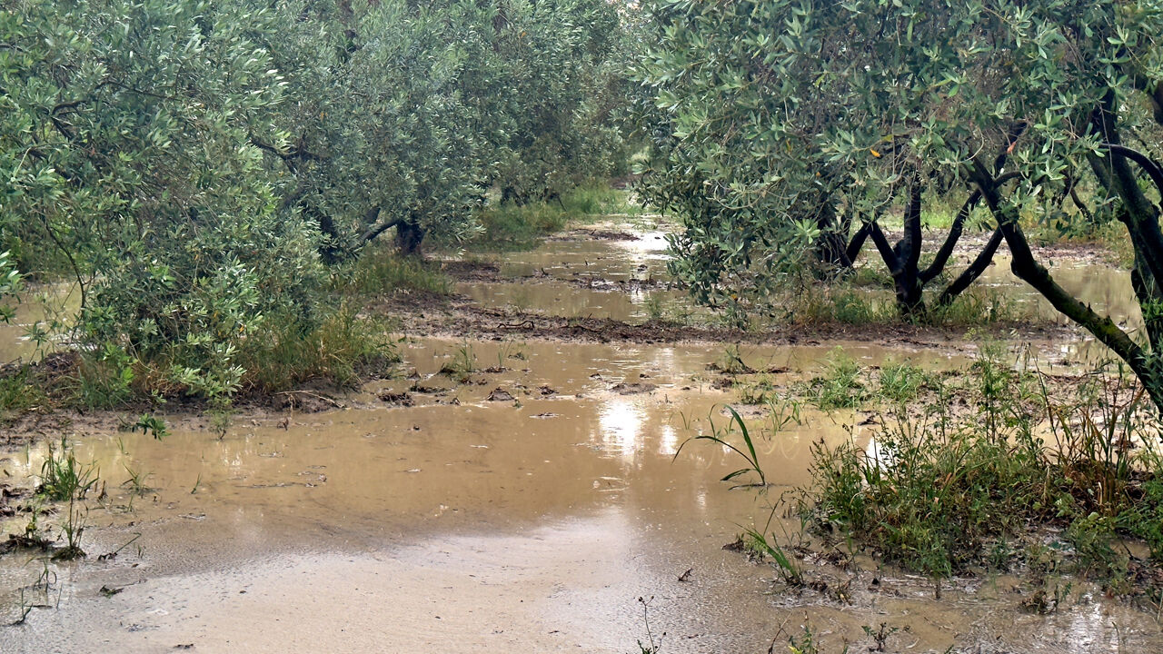 Sağanak kenti vurdu, her yer su altında kaldı! - 1. Resim