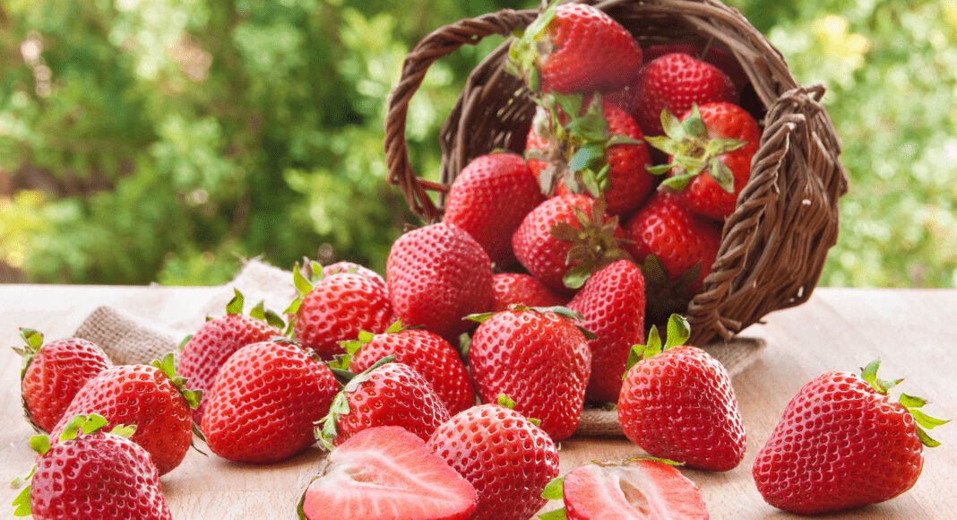 Şekeri dengeliyor, kalp krizini önlüyor, iltihabı azaltıyor: Her gün bir avuç yemek yetiyor! - 3. Resim