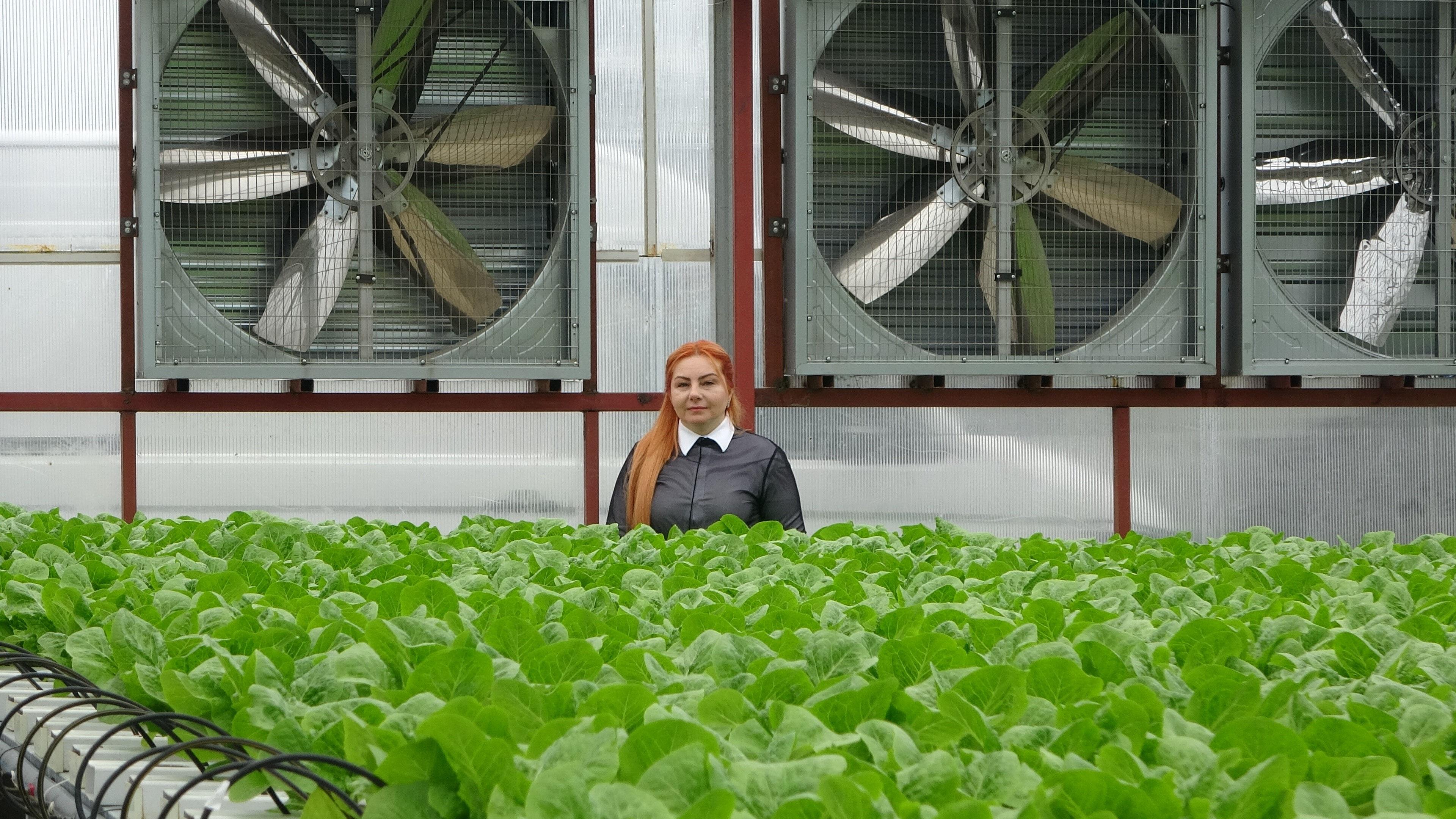 Vatandaş daha ucuza daha kalitelisini yiyecek! ABD'de g&ouml;rd&uuml;ğ&uuml; sistemi memleketi Trabzon'a getirdi - 2. Resim