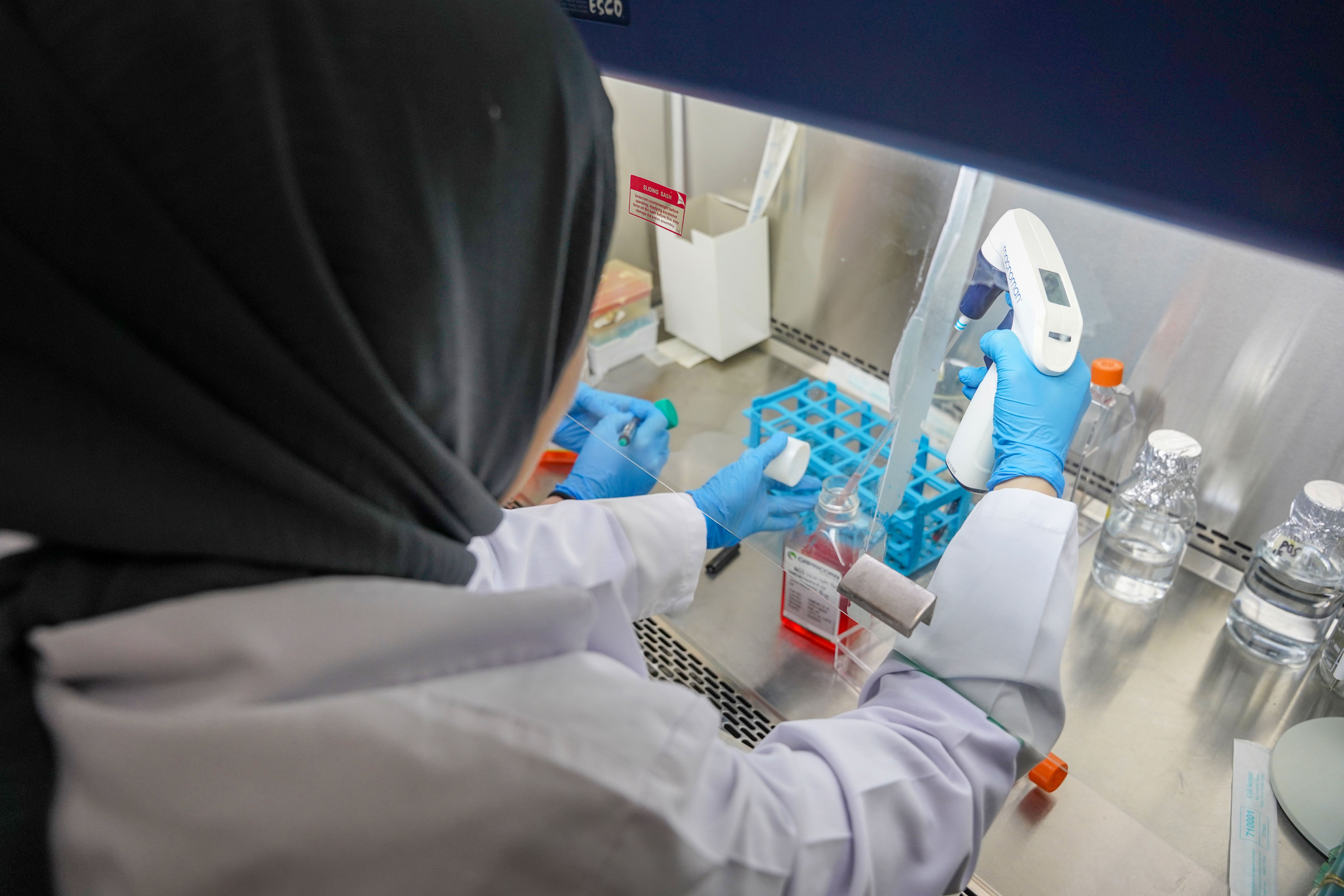 Türkiye'de en çok Tokat'ta görülüyor; Uzmanlar vatandaşları dikkatli olmaları konusunda uyardı... - 3. Resim