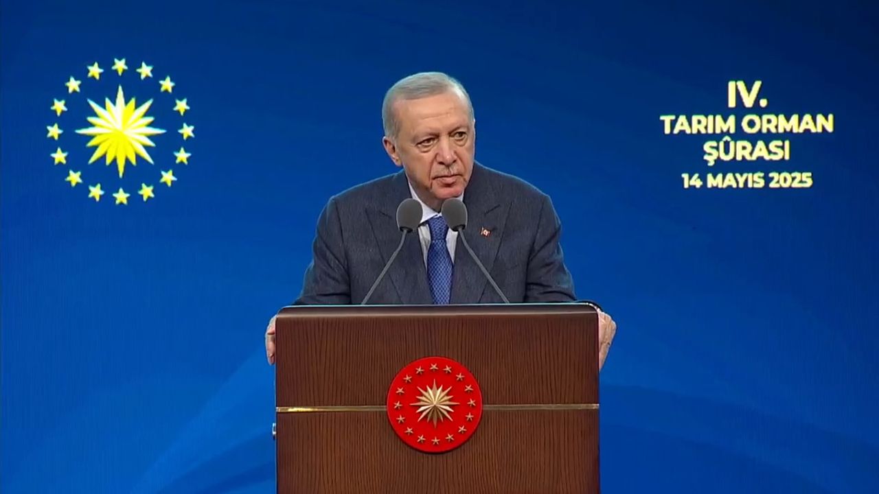 Cumhurbaşkanı Erdoğan duyurdu: Gıdalarda pestisit kalıntılarının önlenmesi için çalışma yürütülecek - Gündem