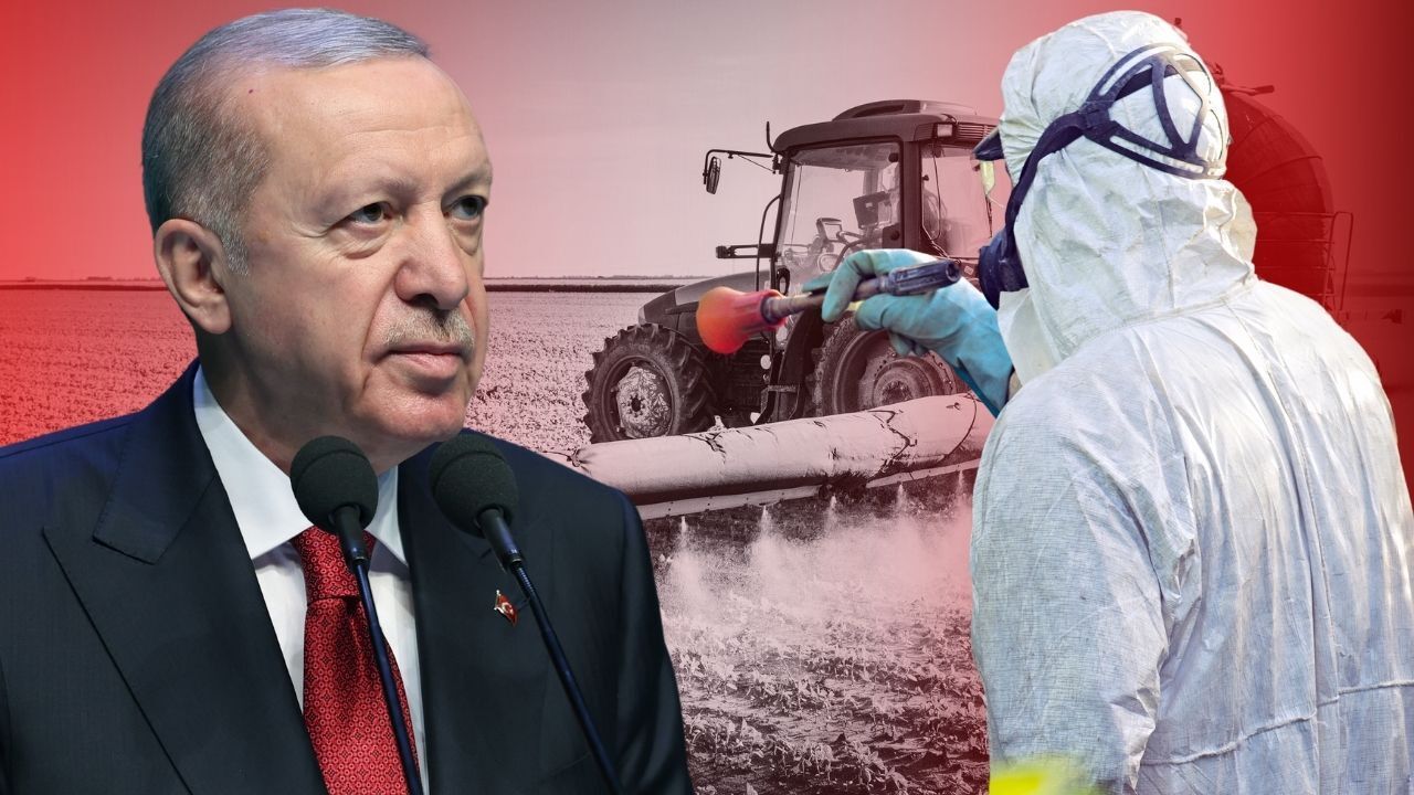 Cumhurbaşkanı Erdoğan duyurdu: Gıdalarda pestisit kalıntılarının önlenmesi için çalışma yürütülecek - Gündem