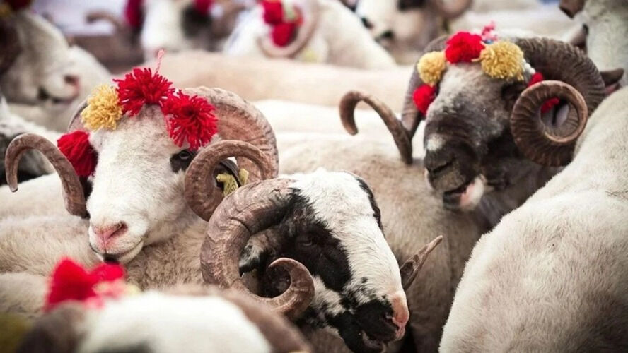 Kurban Bayramı arifesi tatil mi, 9 gün tatil olacak mı, arife yarım gün mü? Gözler Kurban Bayramı tatilinde - 1. Resim