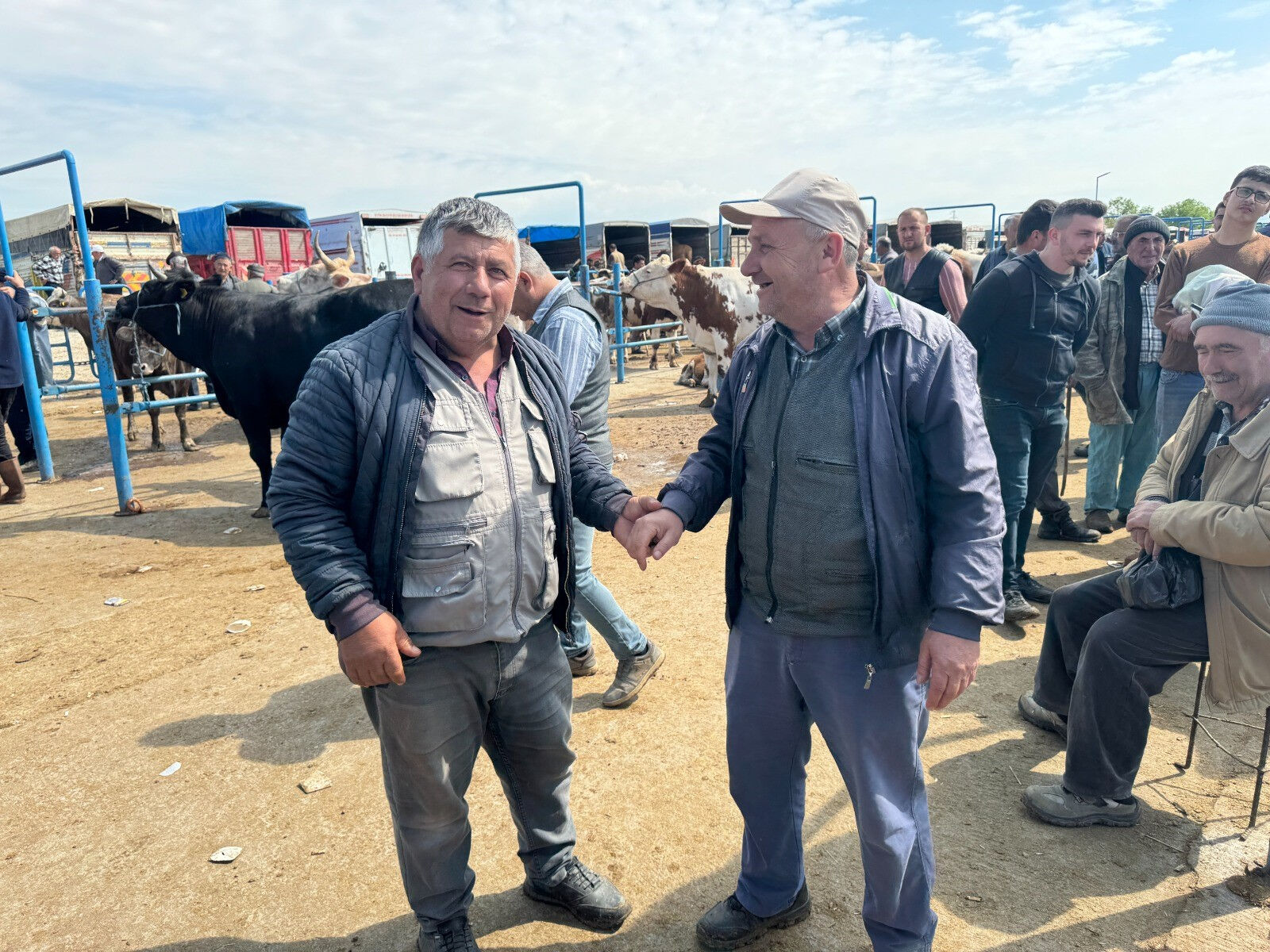 büyükbaş küçükbaş hayvan fiyatları kaç tl 2025