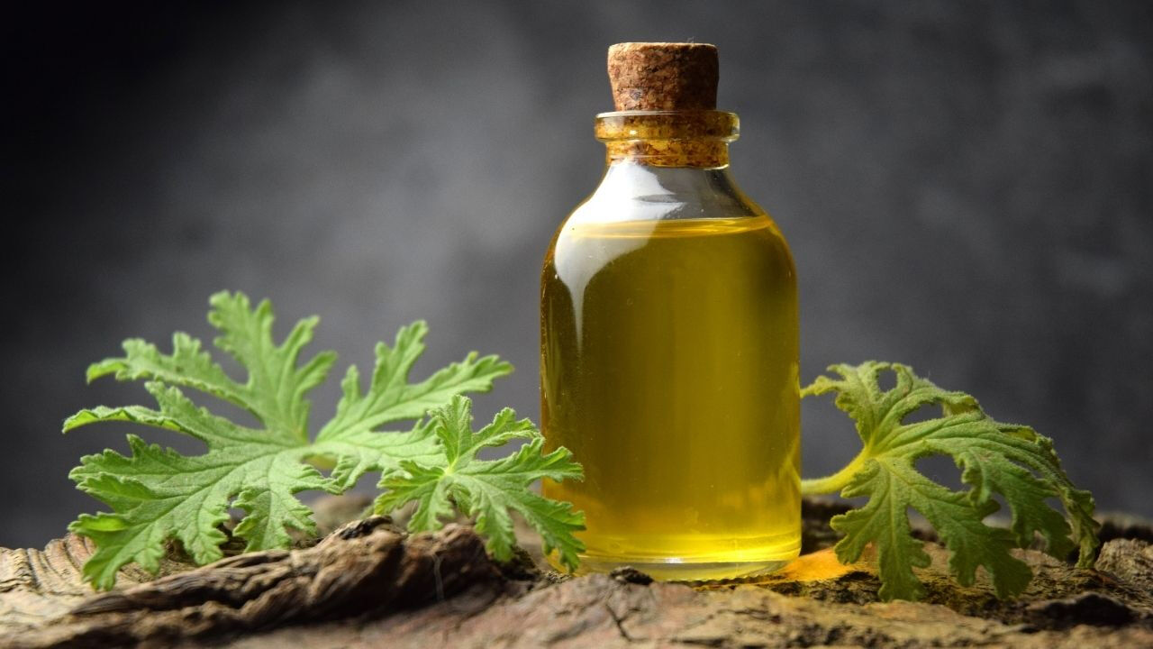 Yaz geldi, sivrisinekler çıktı: Kovmak için 7 doğal yöntem - 6. Resim