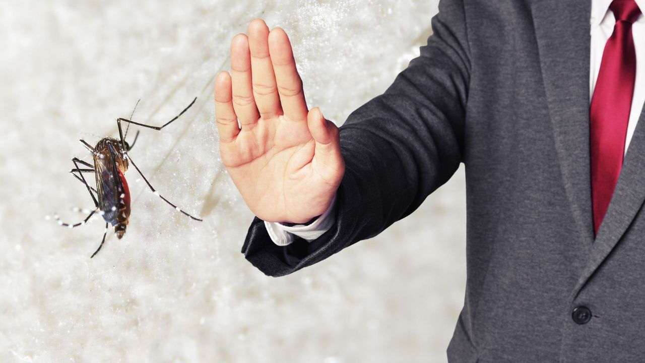 doğal sivrisinek kovucu