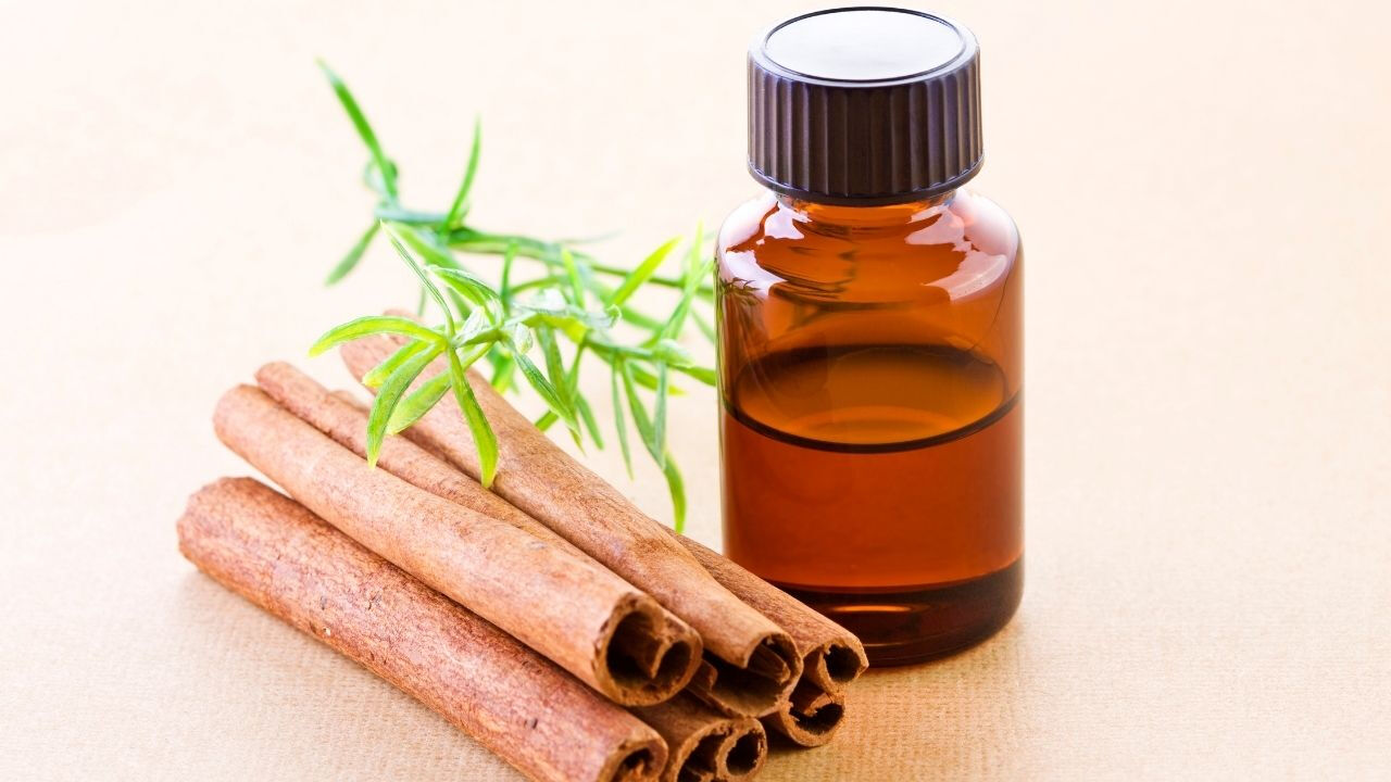 Yaz geldi, sivrisinekler çıktı: Kovmak için 7 doğal yöntem - 7. Resim