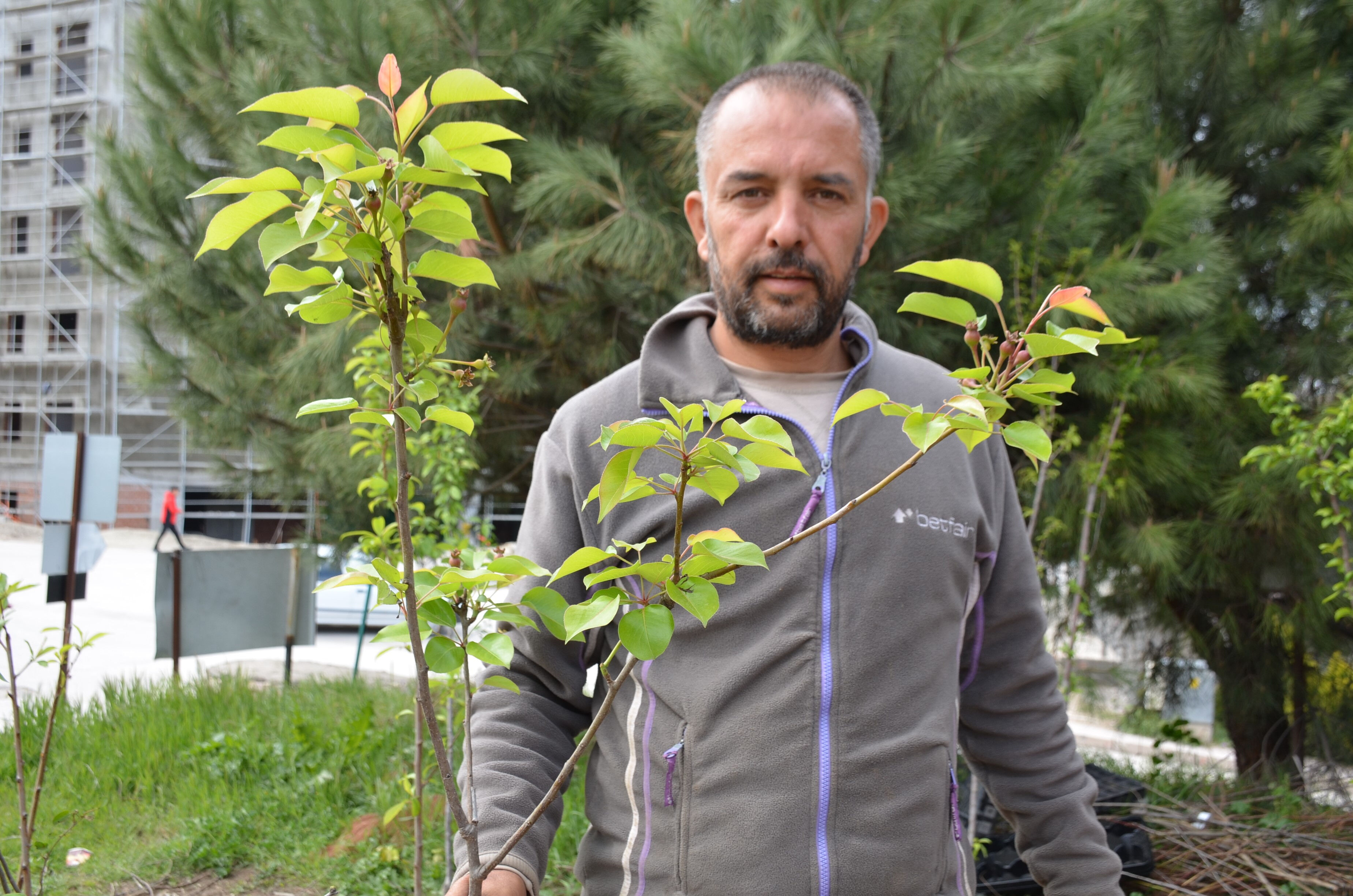 Dededen toruna uzanan meslek! Tanesini 1.000 liraya satıyor - 2. Resim