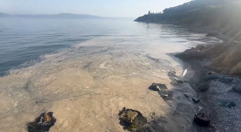 Gemlik'te vatandaşları tedirgin eden görüntü! Denize girilecek yer kalmadı - 1. Resim