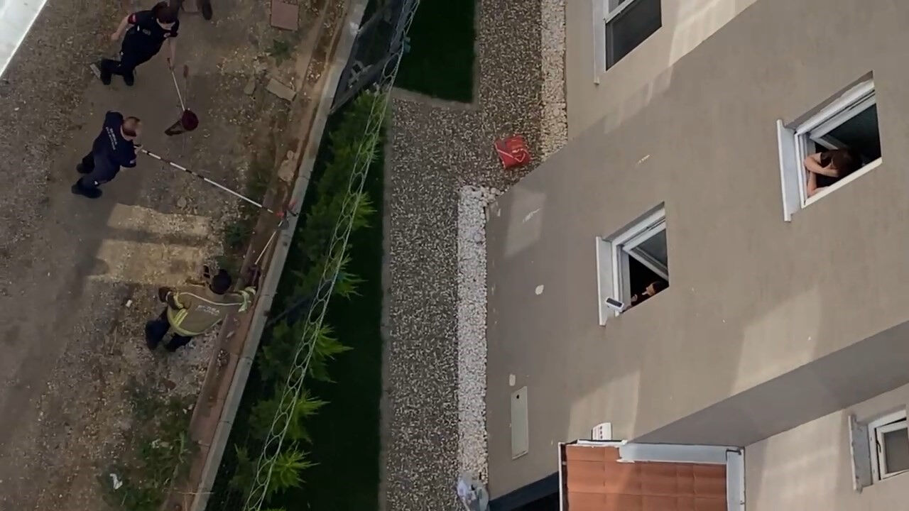 Jiletli tellere dolanmış, tam 1,5 metre boyunda! Görenler hemen telefona sarıldı - 2. Resim