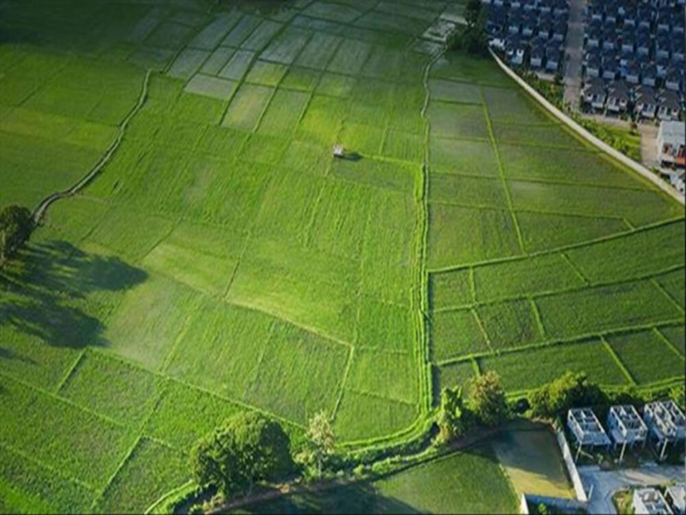 Milli Emlak sudan ucuza arsa satışını duyurdu! Kaçıran pişman oluyor - 1. Resim