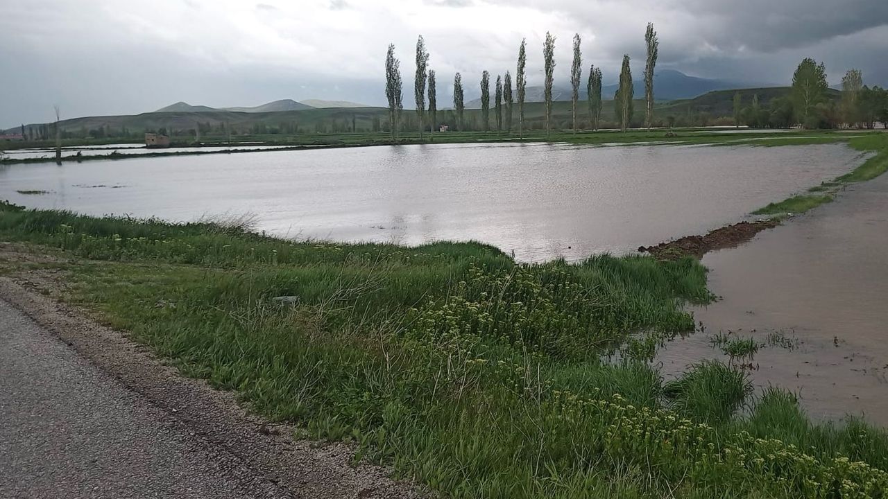 Yaşam