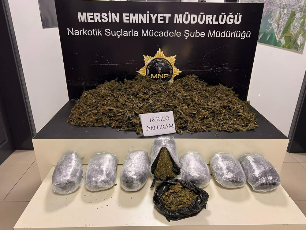 Ağaçların arasına gizlenmiş! Şeftali serasında çuvallarca uyuşturucu - 3. Resim