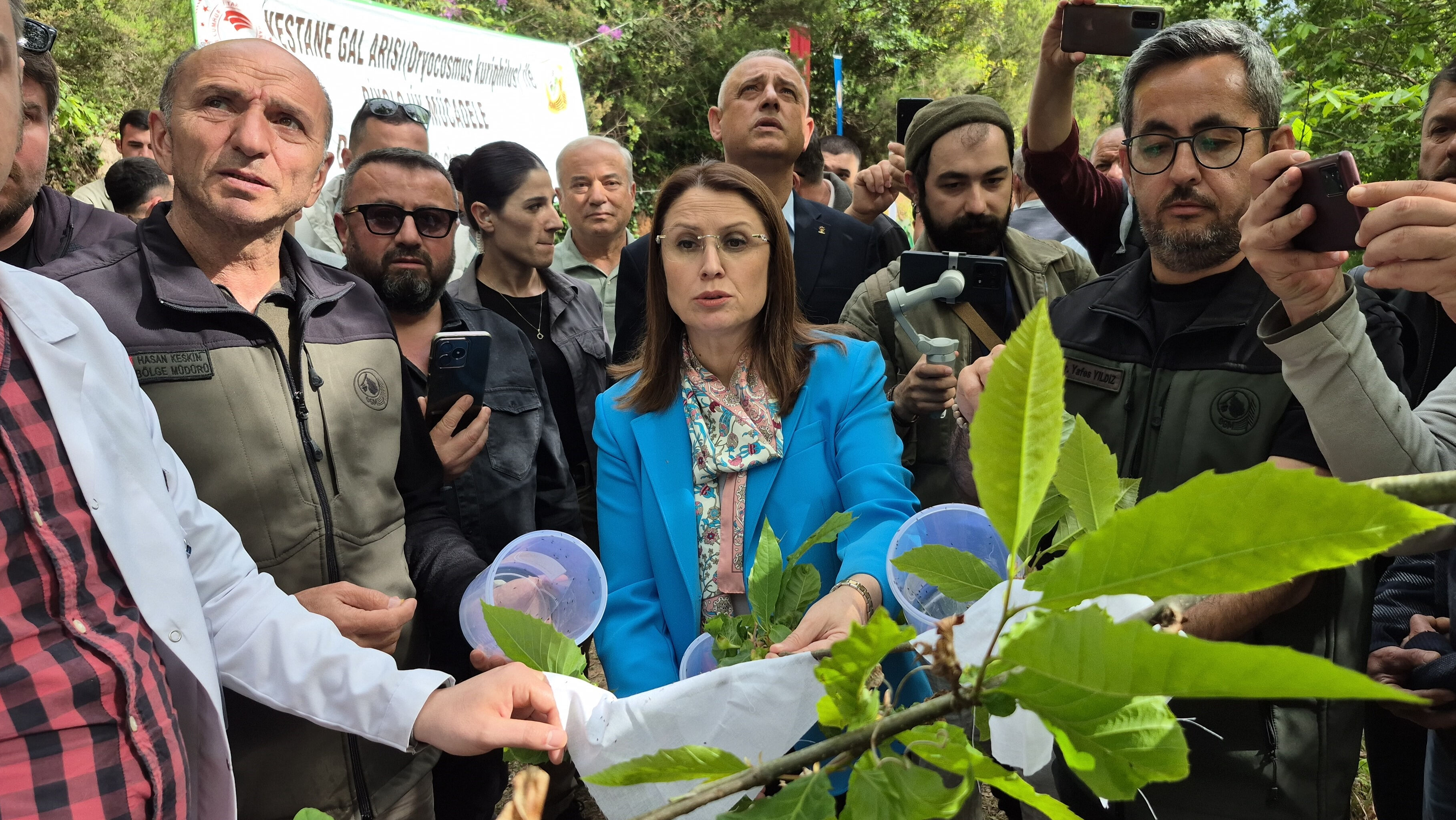 Katil arılar çiftçinin kabusu oldu! 