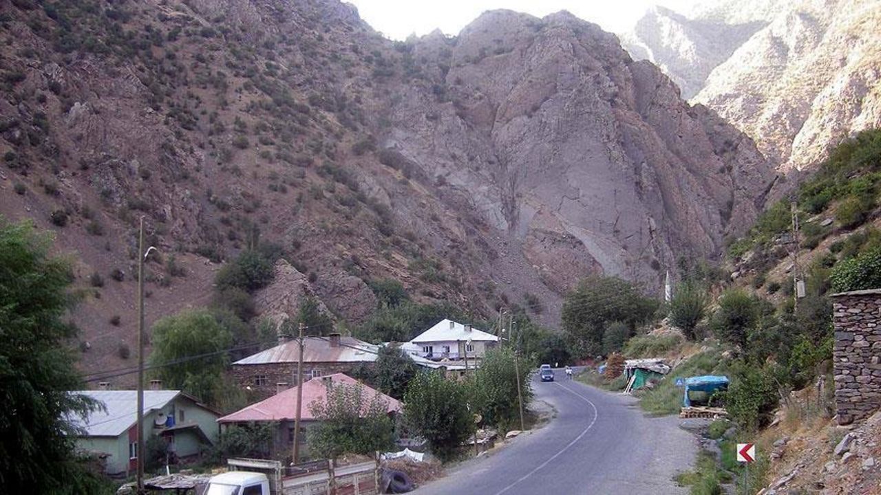 Yaşam
