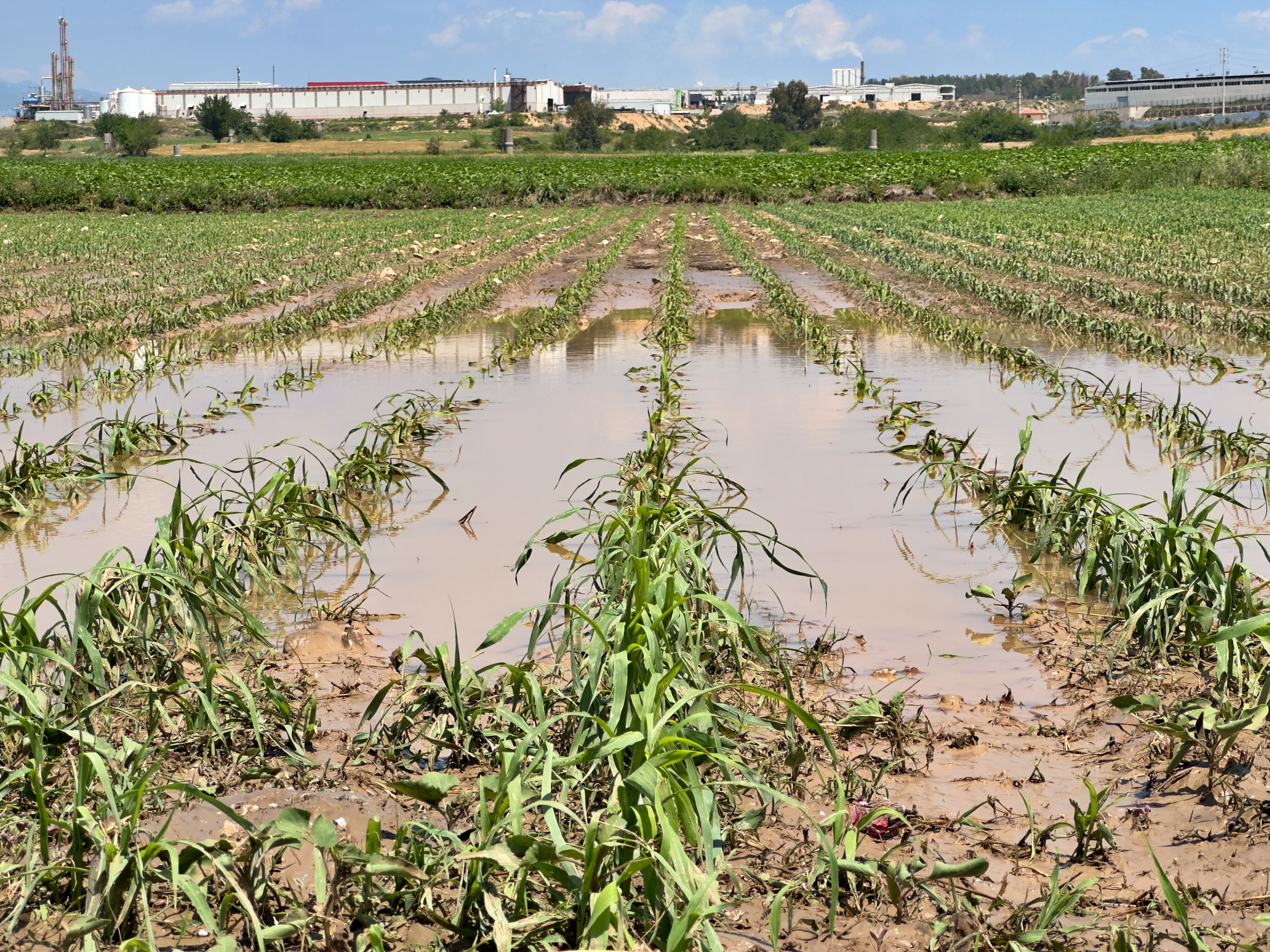 Osmaniye'de hayat felç! Sel suları otomobilleri böyle sürükledi - 1. Resim
