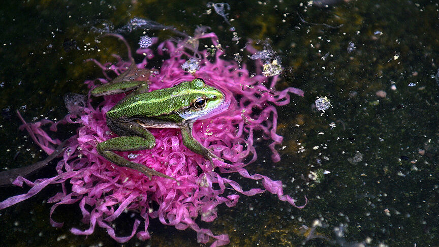 Rus bilim insanının cezası kesildi! Havaalanında kıskıvrak yakalandı - 1. Resim