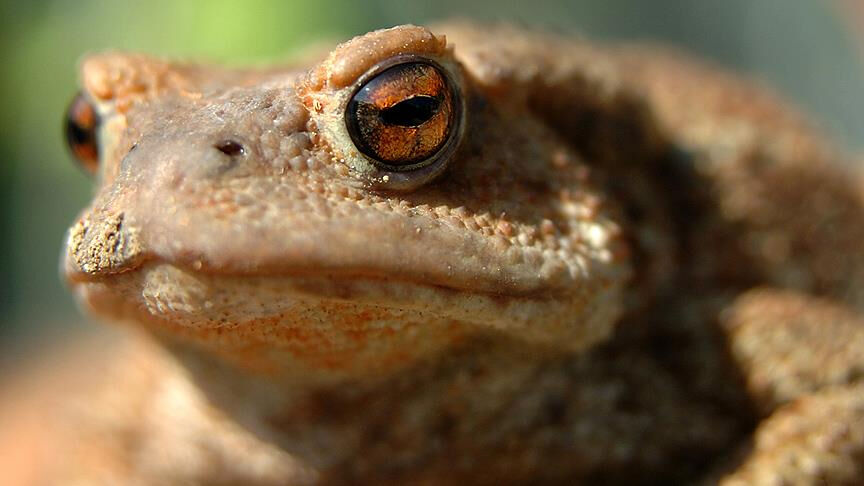 Rus bilim insanının cezası kesildi! Havaalanında kıskıvrak yakalandı - 2. Resim