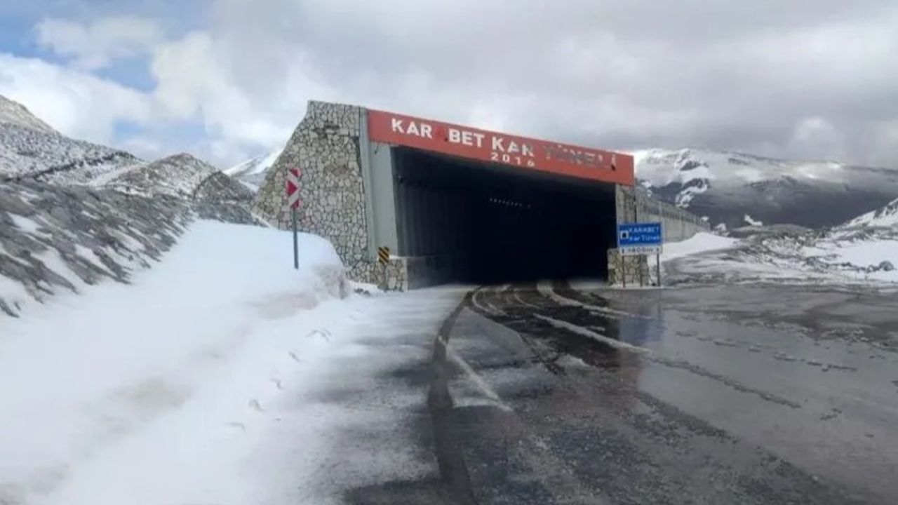 Yaşam