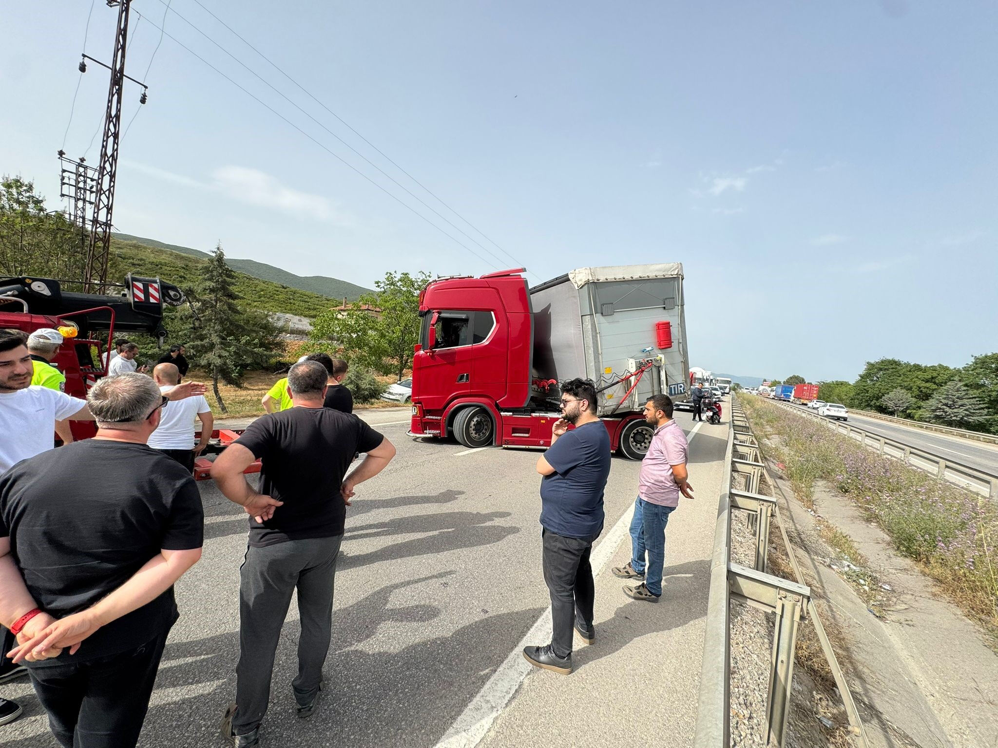 Akıllara durgunluk veren olay! Küçücük bir arı yüzlerce kişiyi mağdur etti - 1. Resim