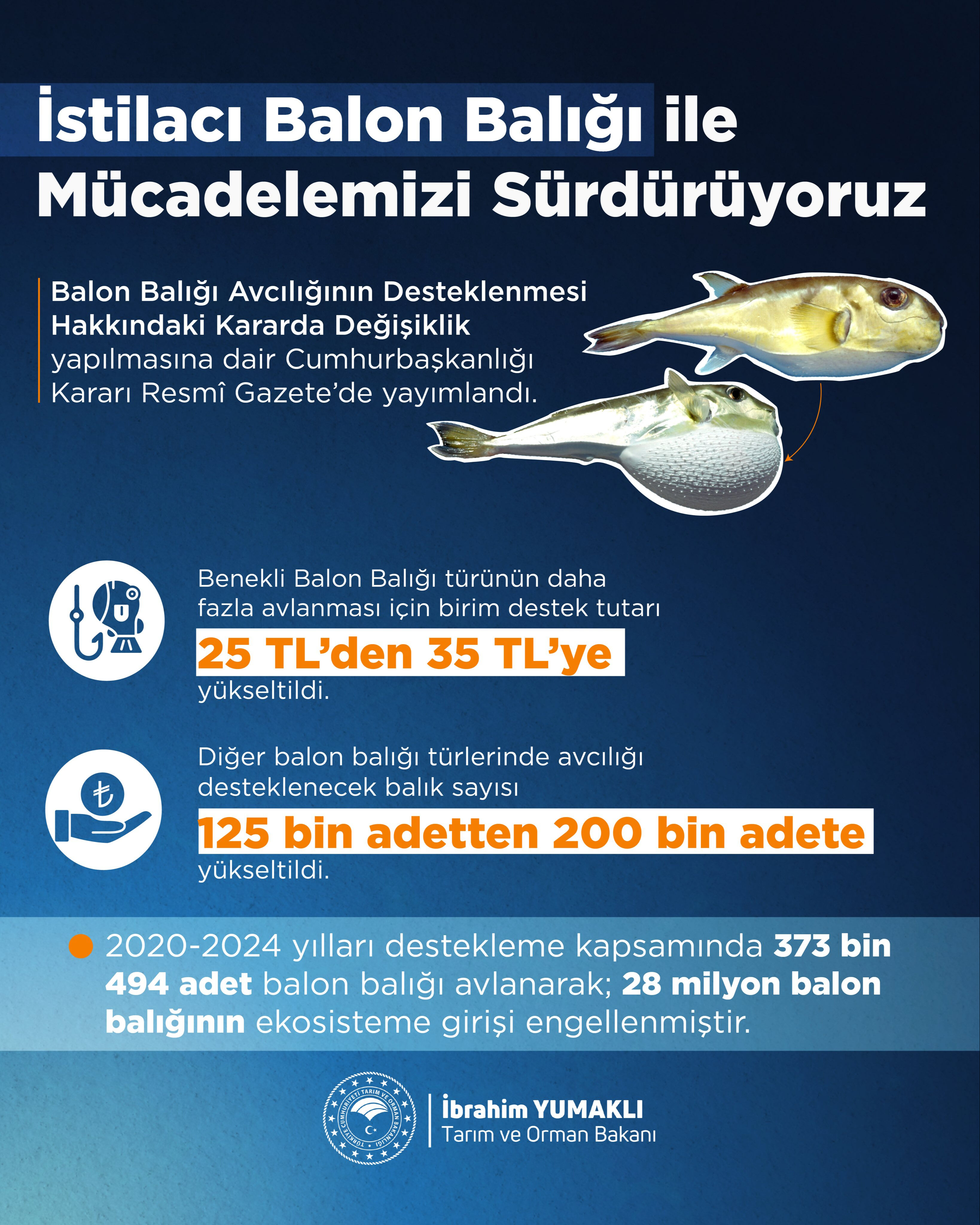 Bu balığı getirene birim başı 35 TL verilecek! Bakan Yumaklı'dan 'istilacı tür balon balığı' paylaşımı: Resmi Gazete'de yayımlandı - 2. Resim