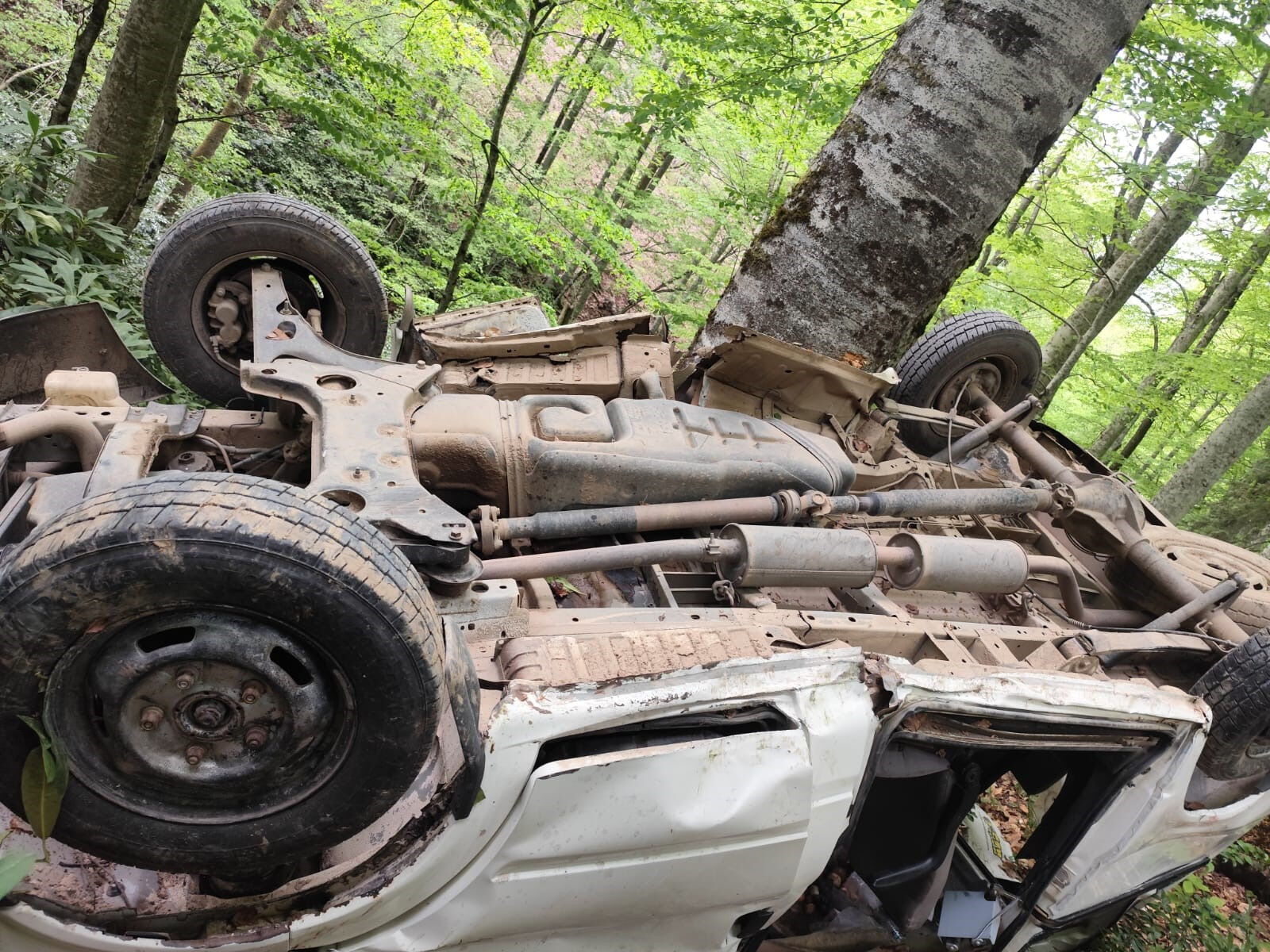 Direksiyon kilitlendi, minibüs ormanda uçtu! Çok sayıda yaralı var - 1. Resim