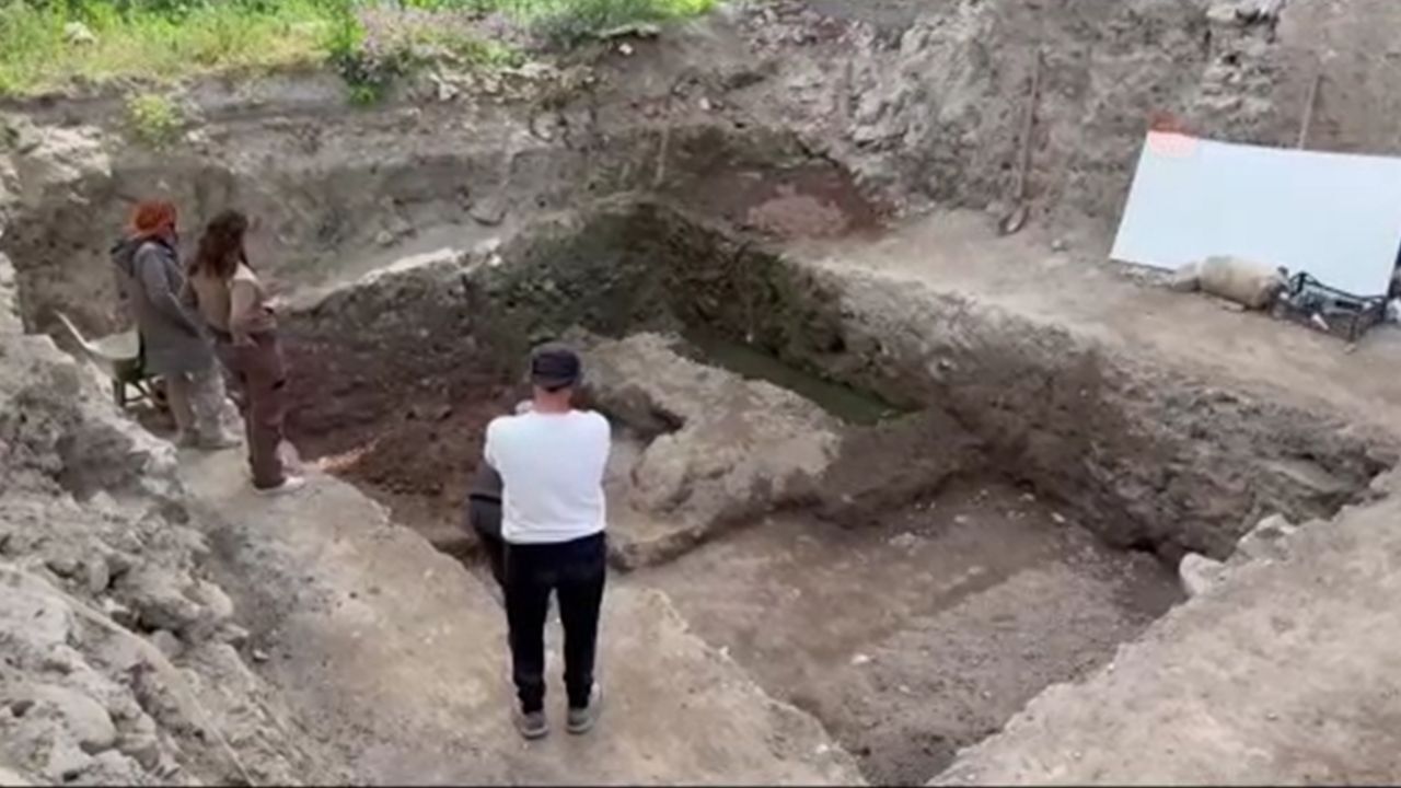 Yaşam