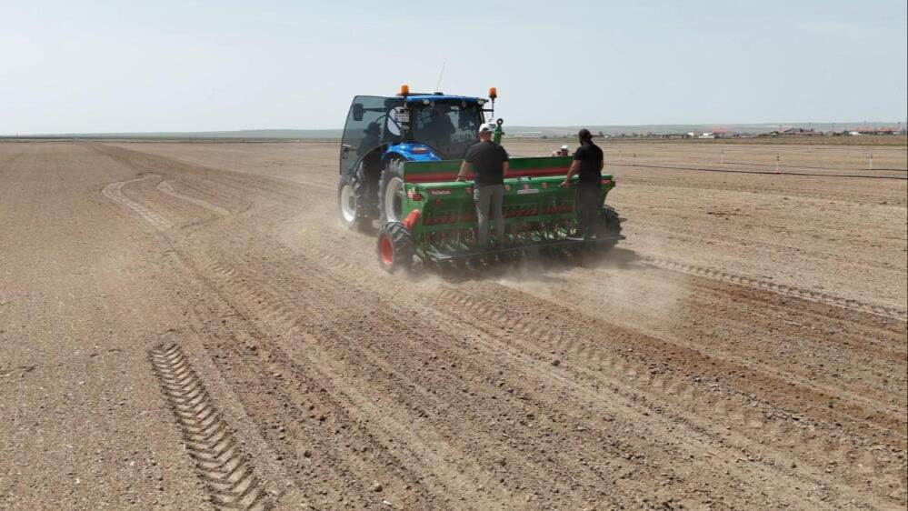 Konya'da kenevir ekimi! 100 g&uuml;n i&ccedil;inde hasat alınacak - 3. Resim