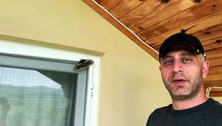 Ünlü ressam Vincent Van Gogh'un ilham kaynağı olmuştu! Sakarya'da görüldü - 1. Resim