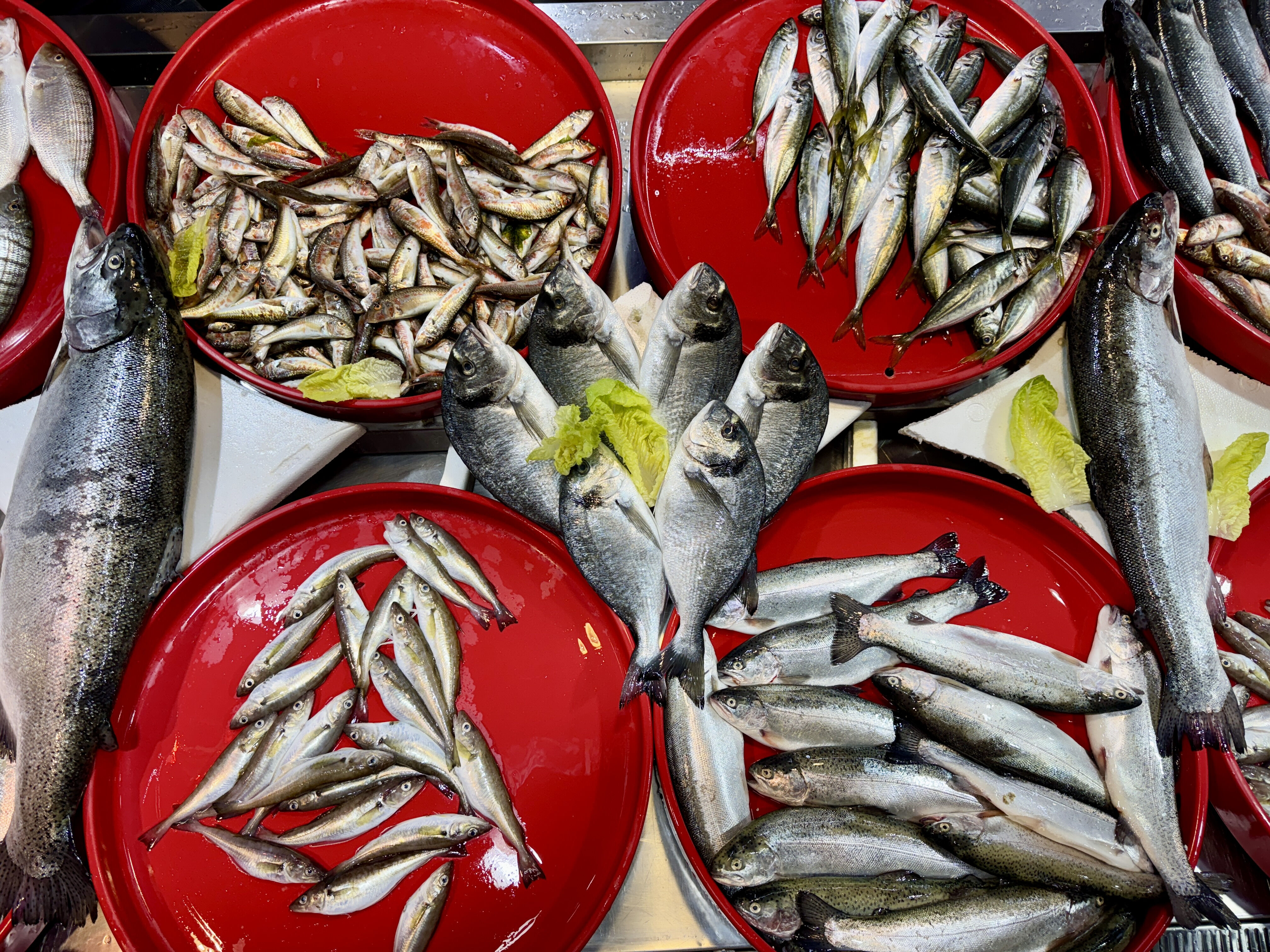 Balık tezgahları şenlendi! İşte mezgit, istavrit ve levreğin fiyatı - 2. Resim