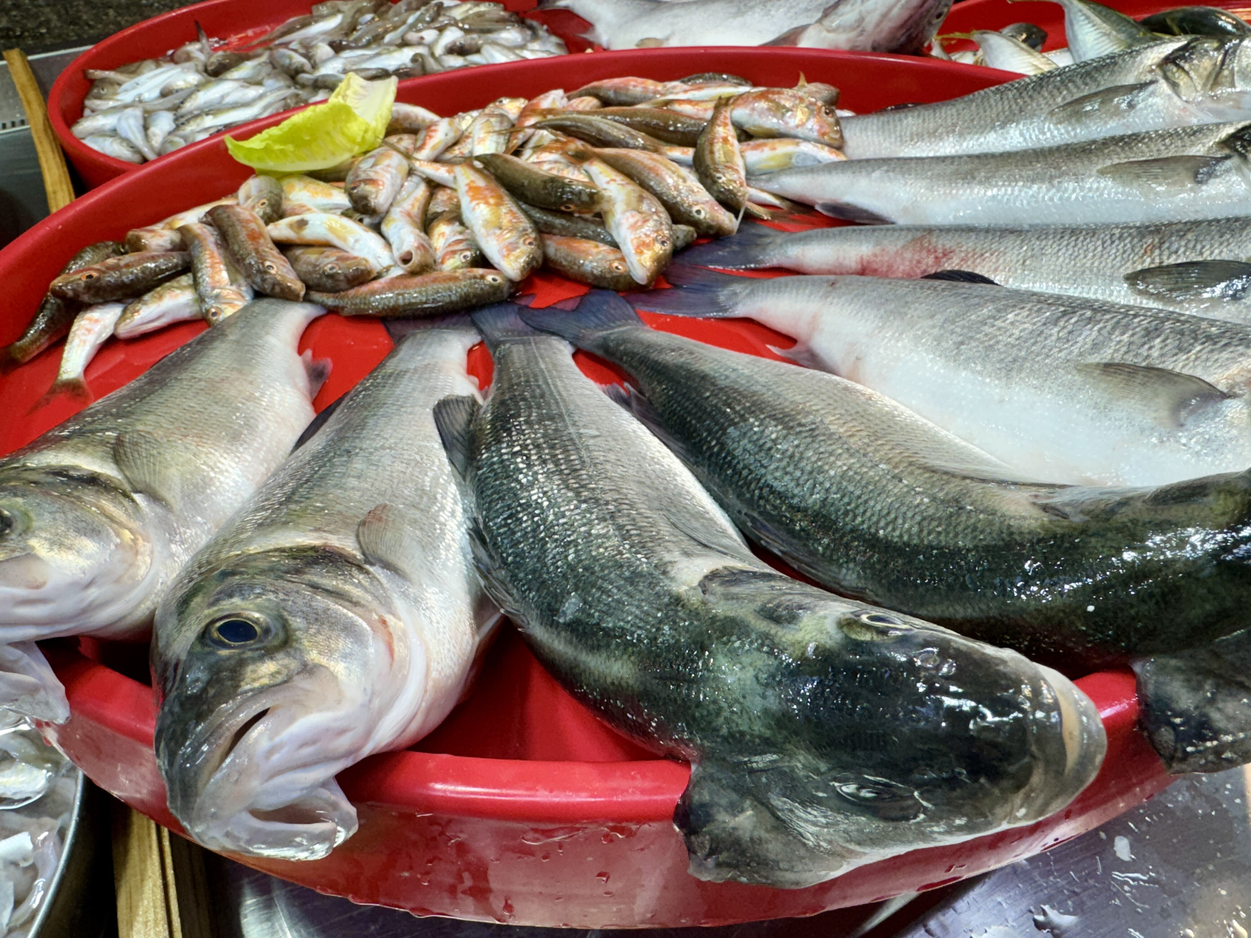 Balık tezgahları şenlendi! İşte mezgit, istavrit ve levreğin fiyatı - 1. Resim