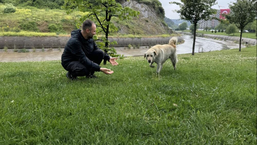 Bankada mahsur kaldı, gezinince ortalık karıştı! Ger&ccedil;ek alarm sistemi devreye girince anlaşıldı - 2. Resim