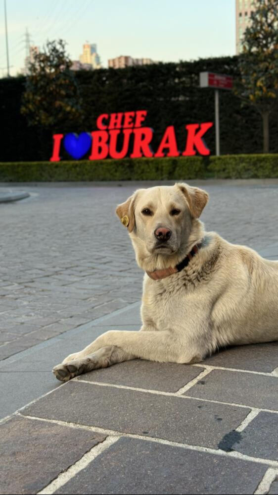Bankada mahsur kaldı, gezinince ortalık karıştı! Ger&ccedil;ek alarm sistemi devreye girince anlaşıldı - 1. Resim