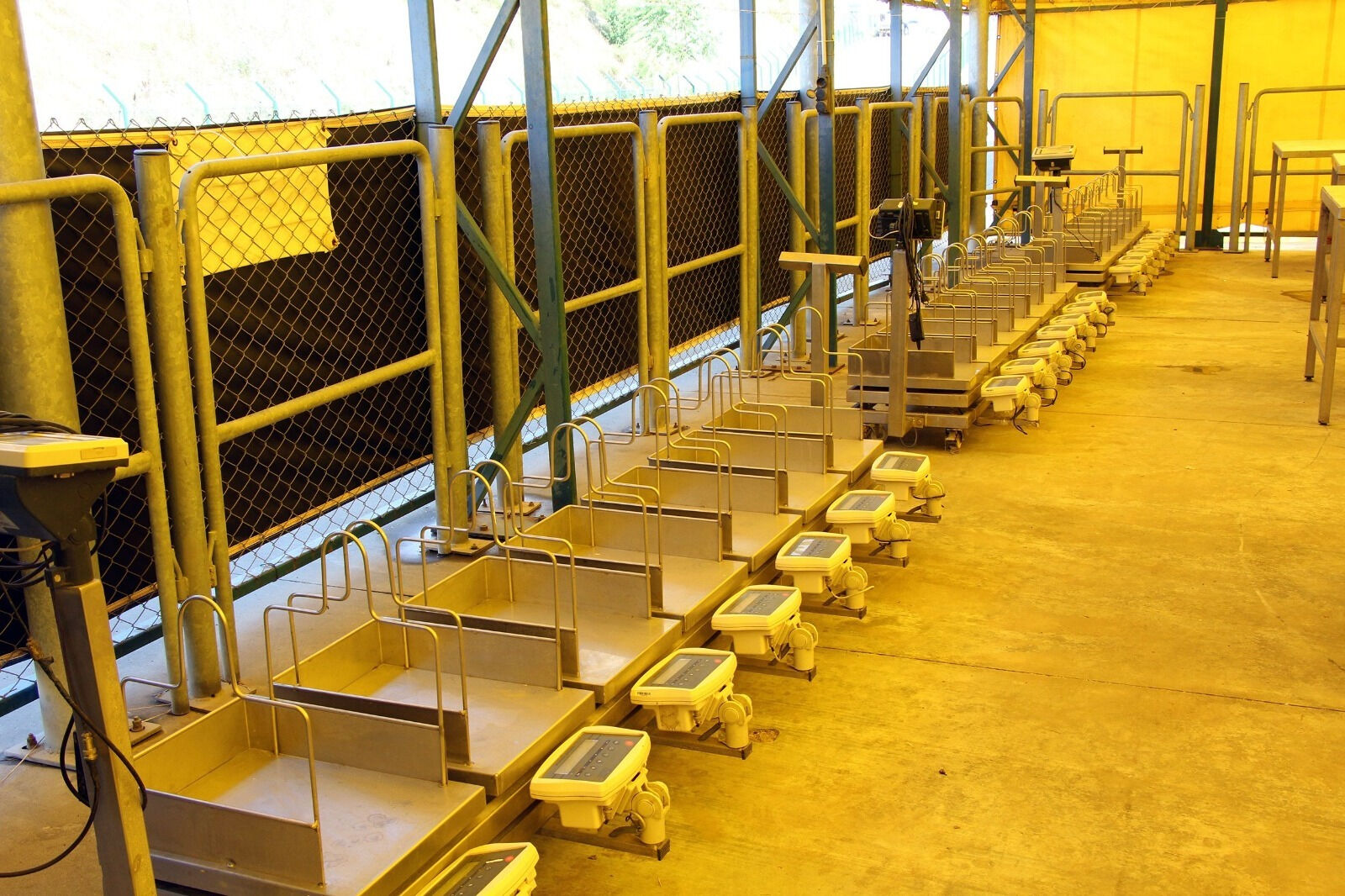 İBB İstanbul kurban kesim yerleri açıklandı! 4 tesiste kesim ve kurban satışı yapılacak - 1. Resim