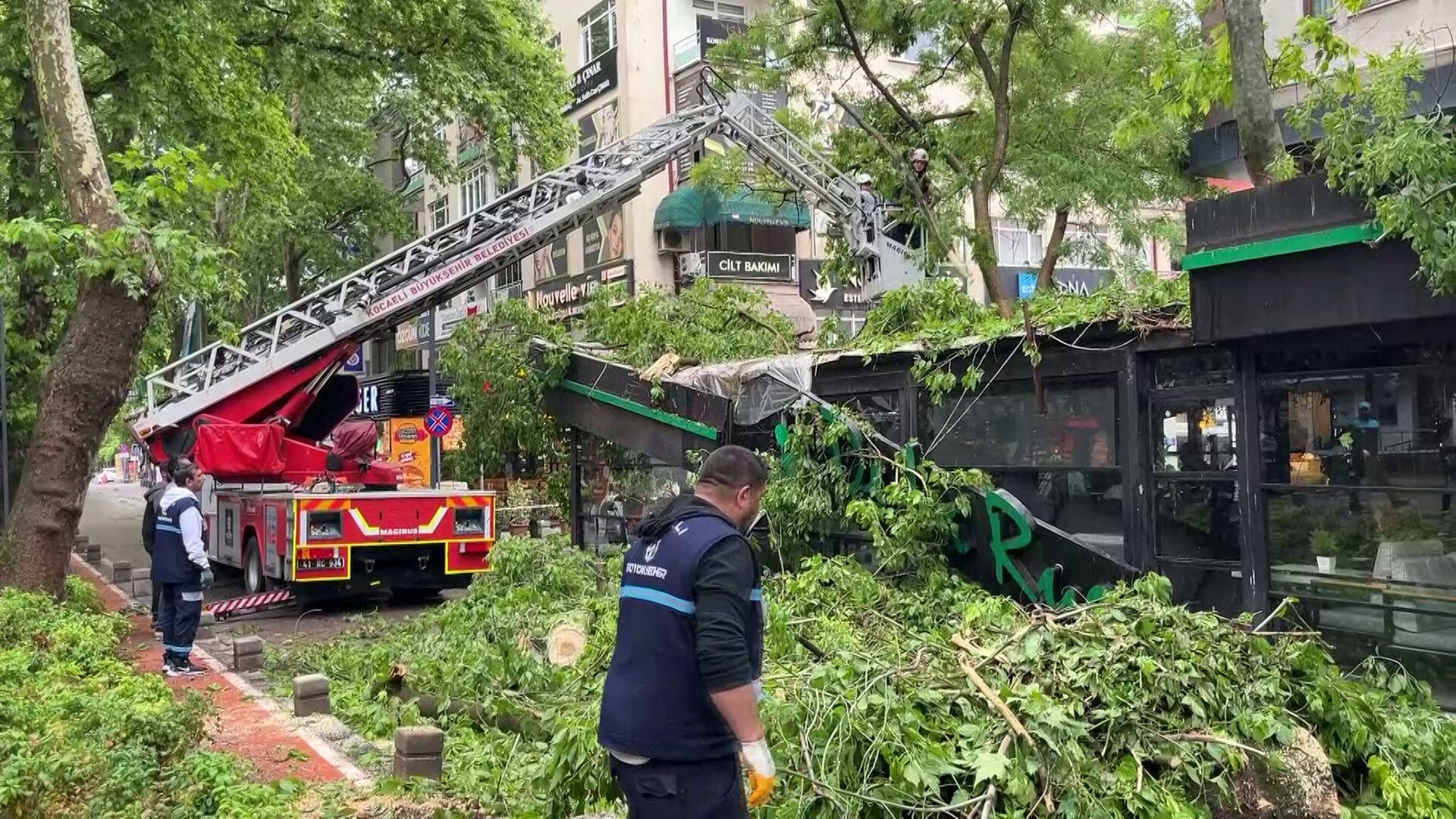 İzmit'te faciaya ramak kala! 150 yıllık ağaç kafenin üzerinde düştü: Yaralılar var - 1. Resim