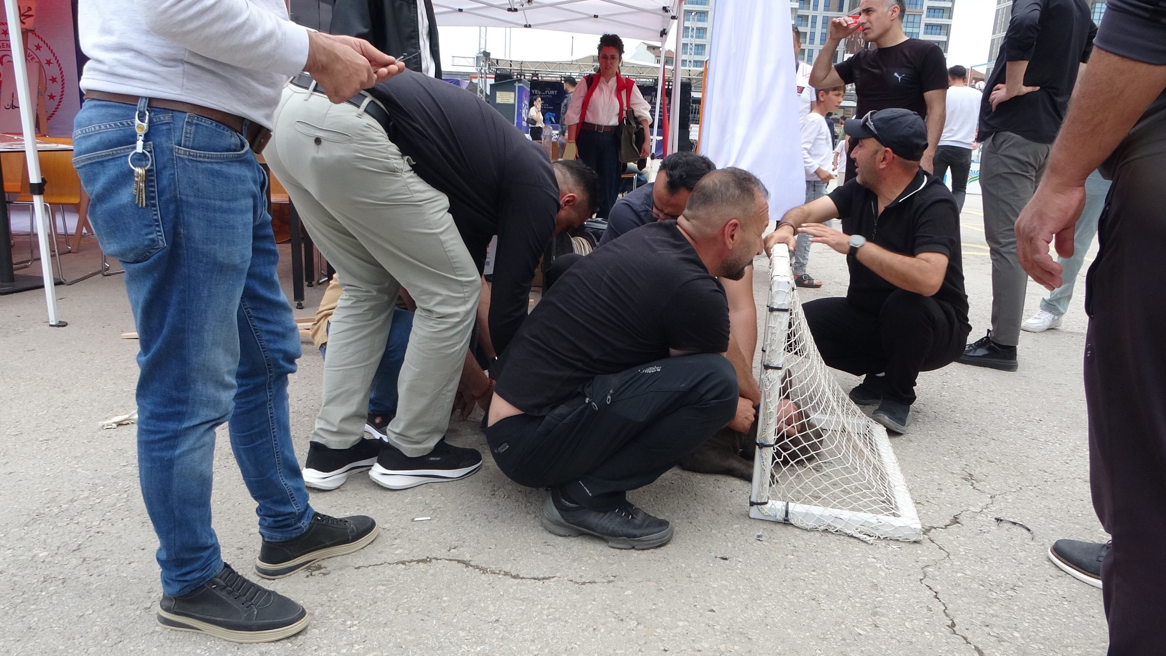 Pitbull etkinliği kana buladı! Bir kişi yaralandı, köpeği 4 kişi kontrol edemedi... - 2. Resim