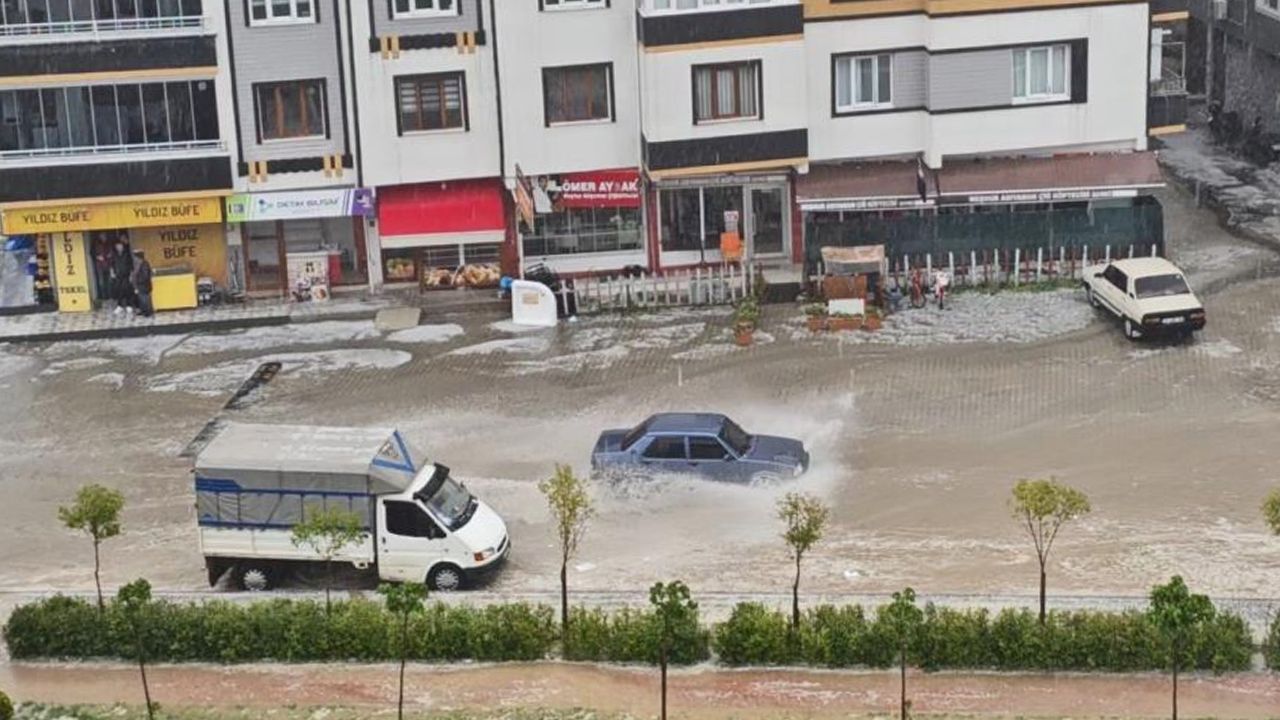 Yaşam