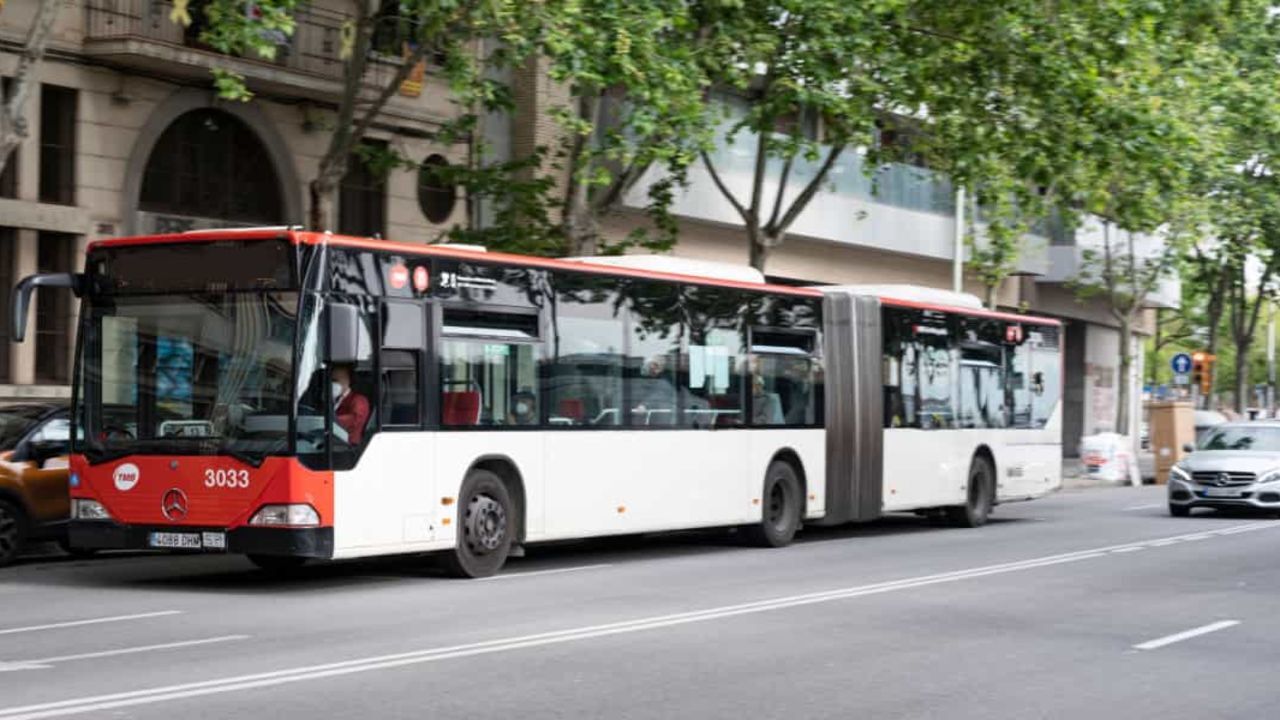 19 Mayıs'ta otobüsler, metrolar ücretsiz mi? 19 Mayıs toplu taşıma ücret bilgileri 19 Mayıs'ta otobüsler, metrolar ücretsiz mi? 19 Mayıs toplu taşıma ücret bilgileri