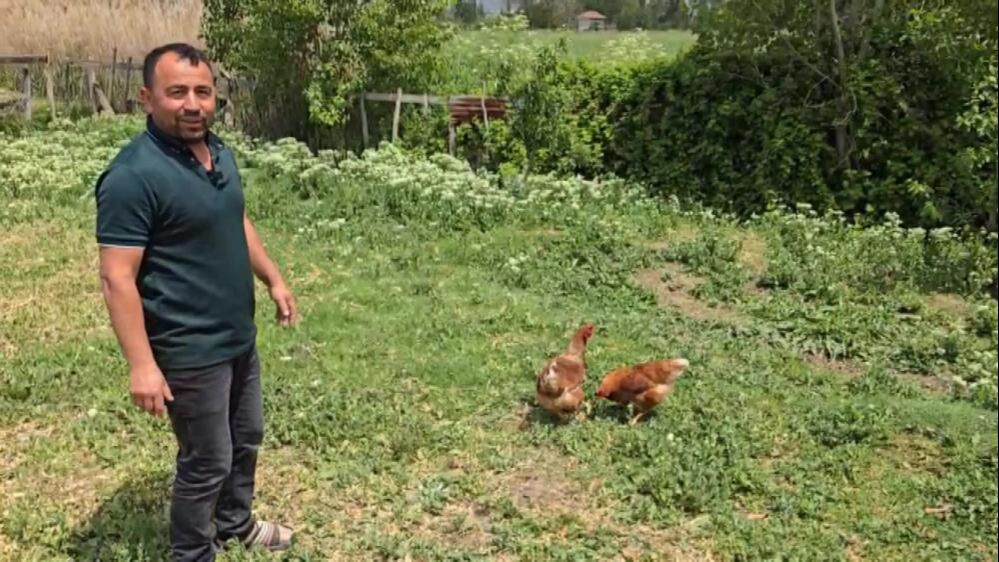 Bah&ccedil;esinde karşılaştı, 