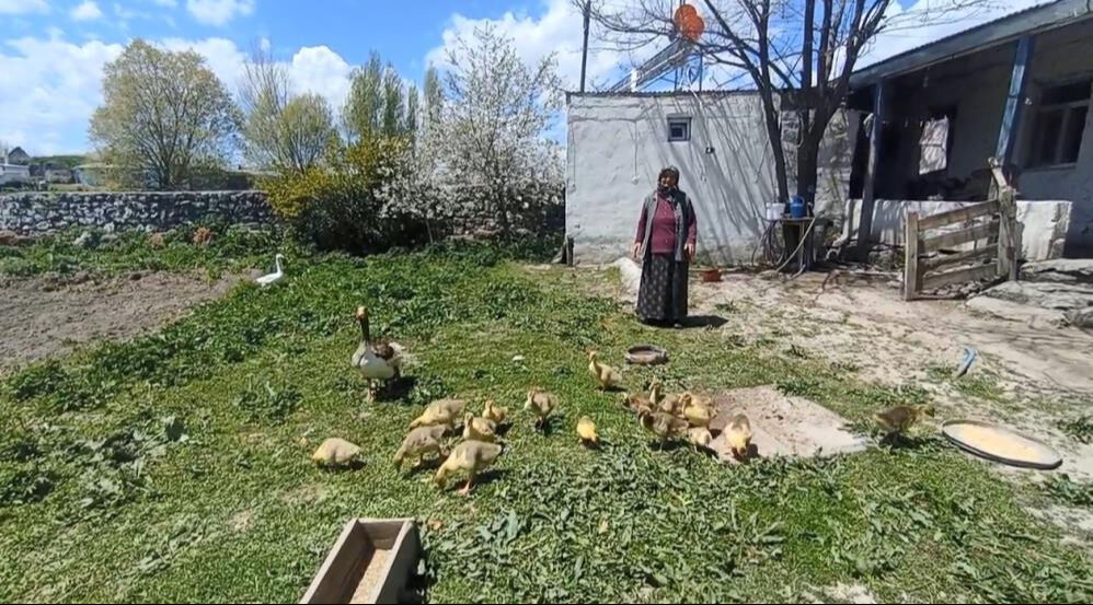 Bedeli 4500 lira! Gram altınla yarışıyor, çocukları gibi bakıyorlar... - 1. Resim