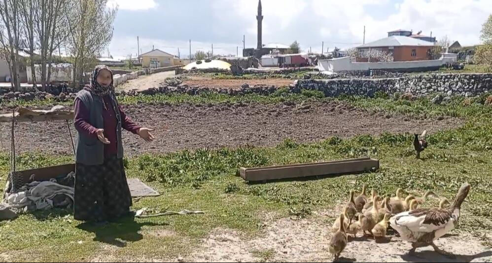 Bedeli 4500 lira! Gram altınla yarışıyor, çocukları gibi bakıyorlar... - 2. Resim