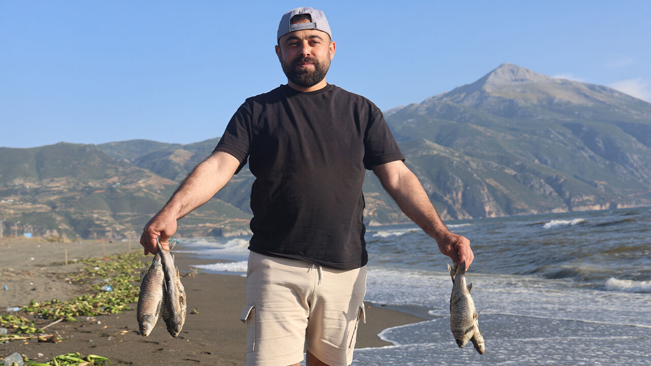 Binlerce balık telef oldu! Sahil ölü kefal ve sazanlarla kaplandı - 4. Resim