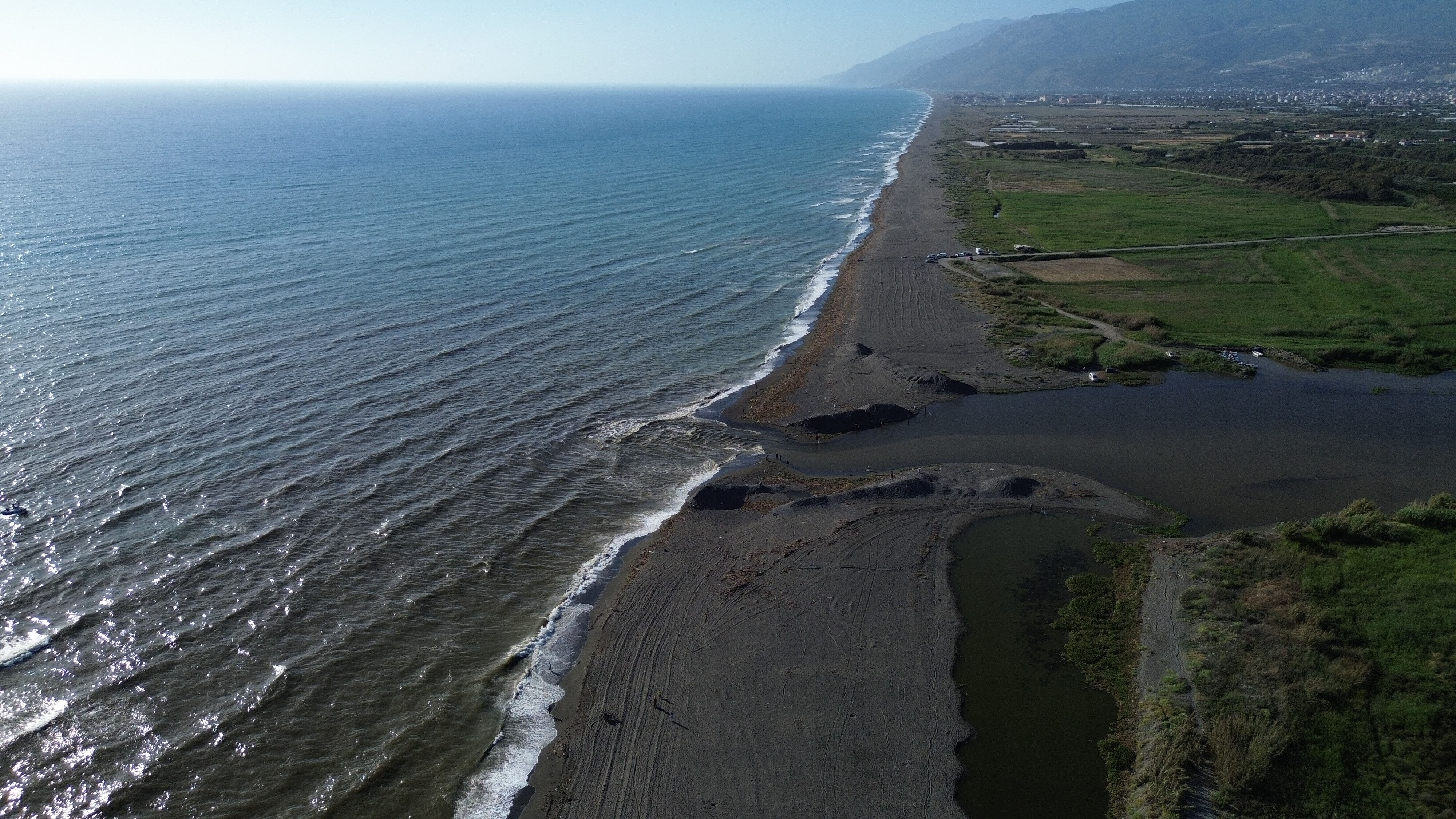 Binlerce balık telef oldu! Sahil ölü kefal ve sazanlarla kaplandı - 1. Resim