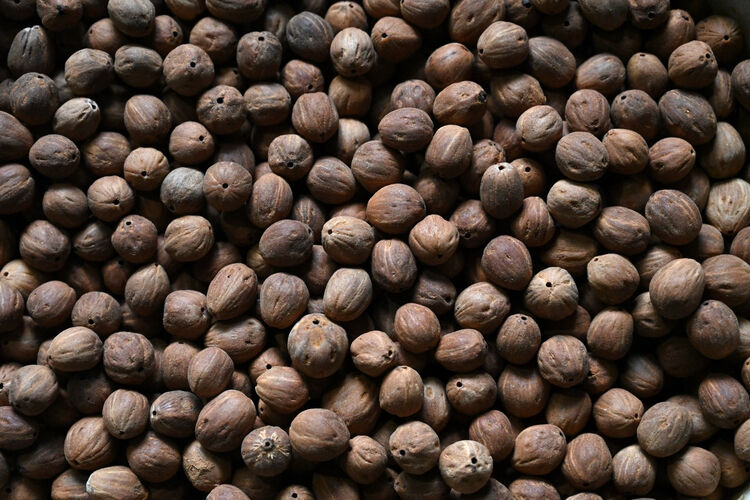 Günde 5 tane yapıp evini geçindiriyor: Tek derdi çırak bulamamak! Ağaç dallarından ürettiğine şaşıracaksınız - 6. Resim